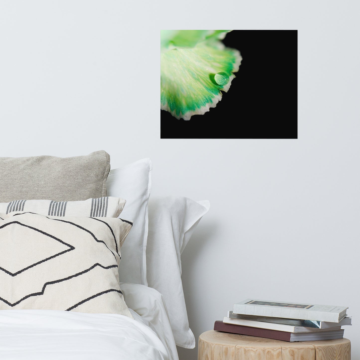 Water Droplet on Carnation Petal Floral Nature Photo Loose Unframed Wall Art Prints