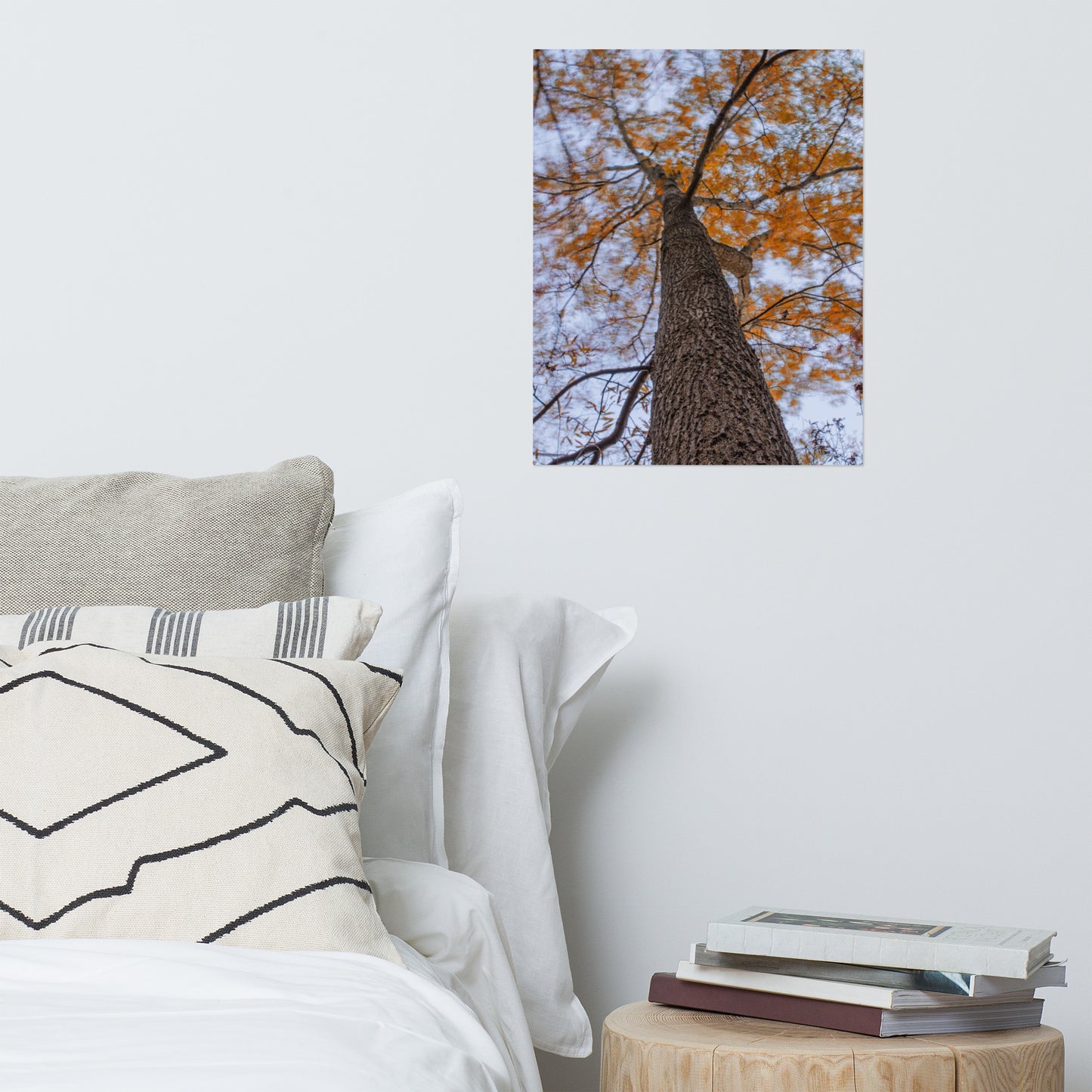 Wind in the Trees Rustic Farmhouse Style Botanical Nature Photo Loose Unframed Wall Art Prints