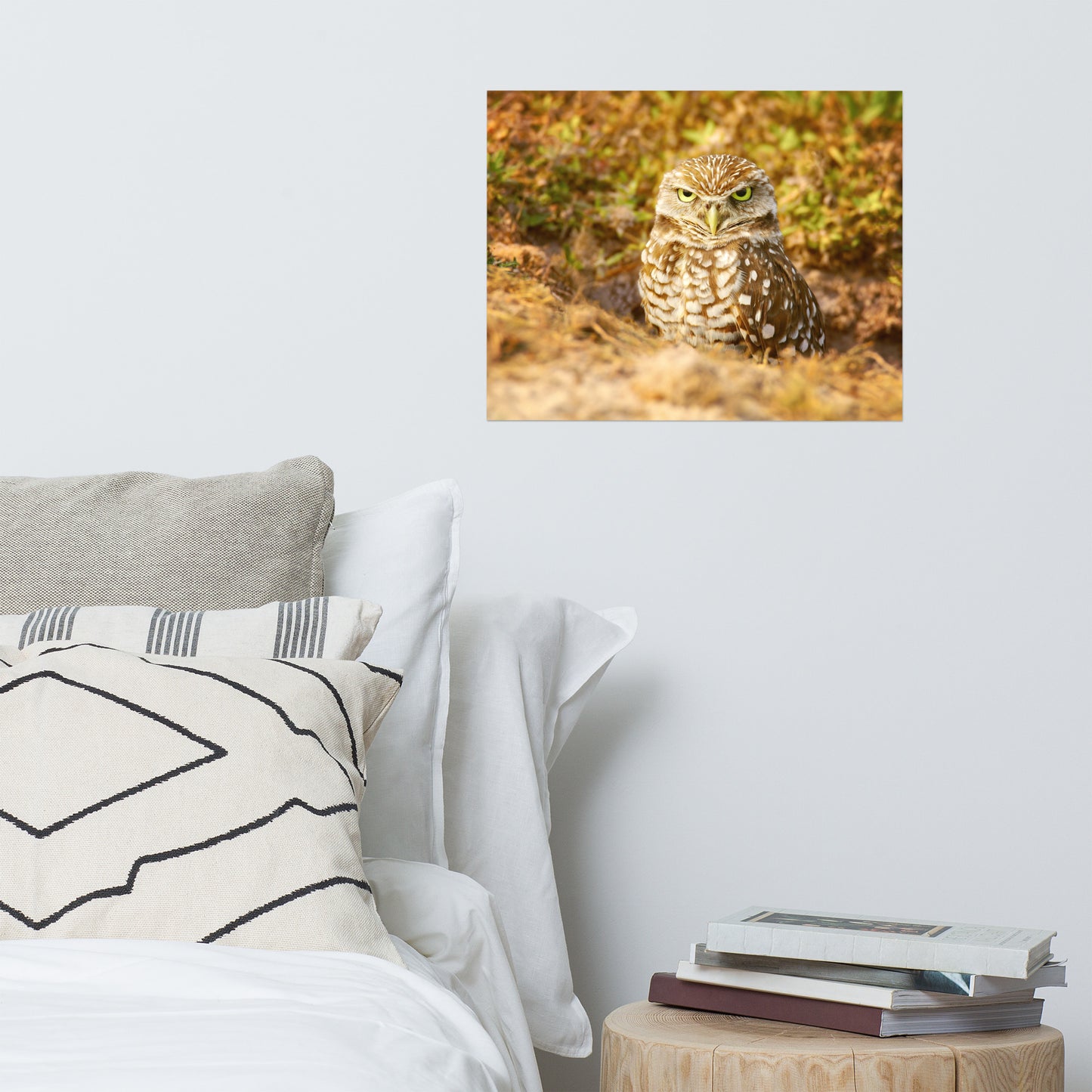 Burrowing Owl in Golden Light Rustic Bird / Animal / Wildlife Photograph Art Print