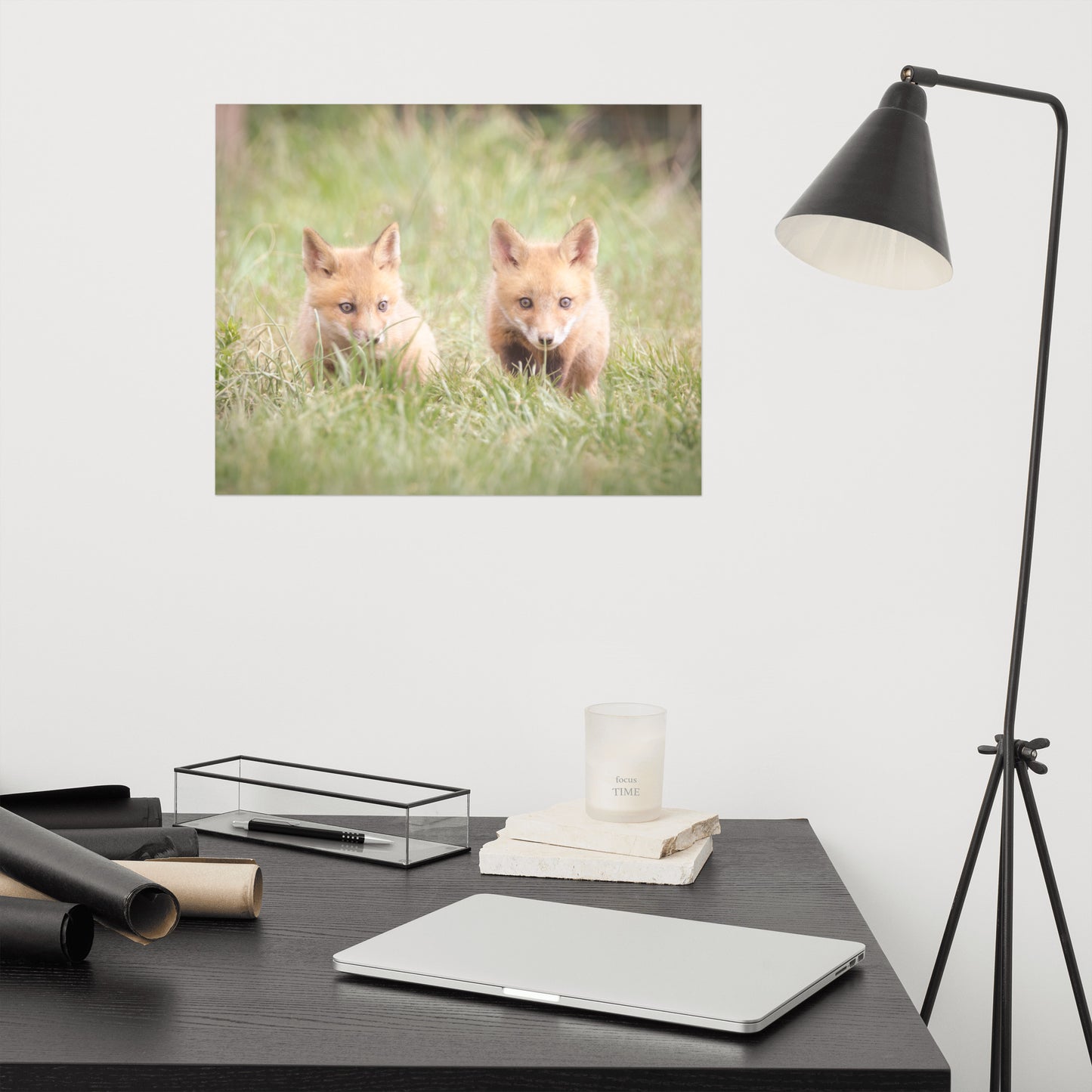 Baby Red Foxes Learning to Hunt Loose Wall Art Print