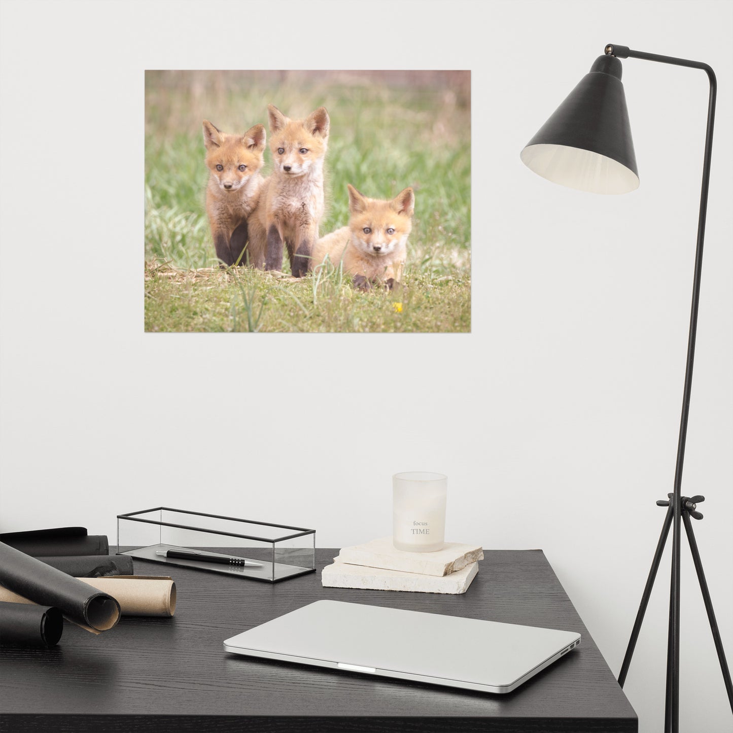Baby Red Foxes Siblings Loose Wall Art Print