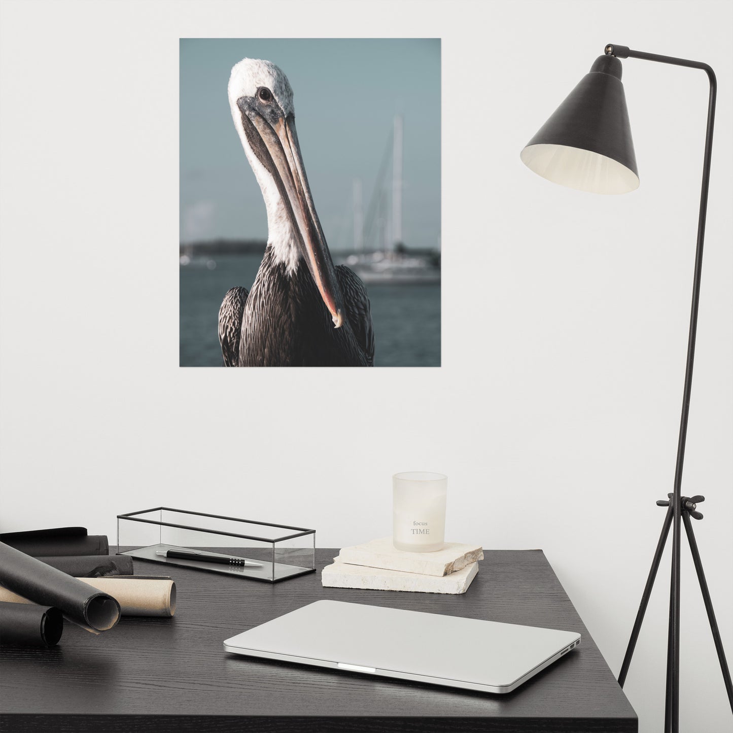 Bob The Pelican 3R Colorized Loose Wall Art Print