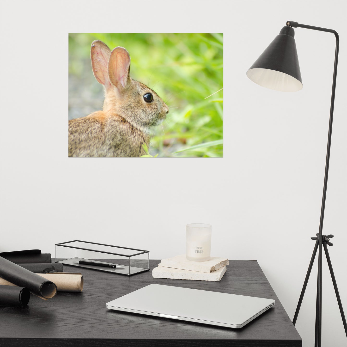 Bunny at Bombay Hook Animal / Wildlife Photograph Loose Wall Art Print