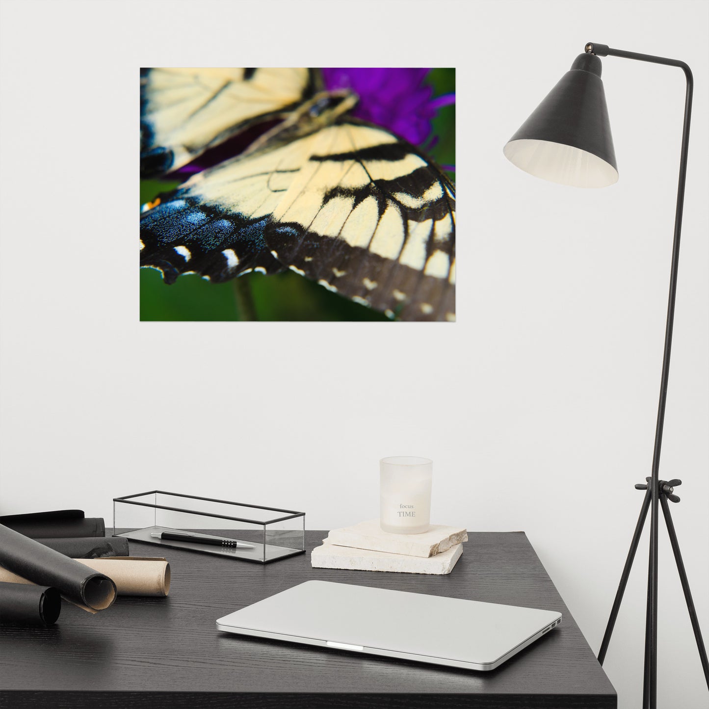 Butterfly Wings Animal / Wildlife Photograph Loose Wall Art Print