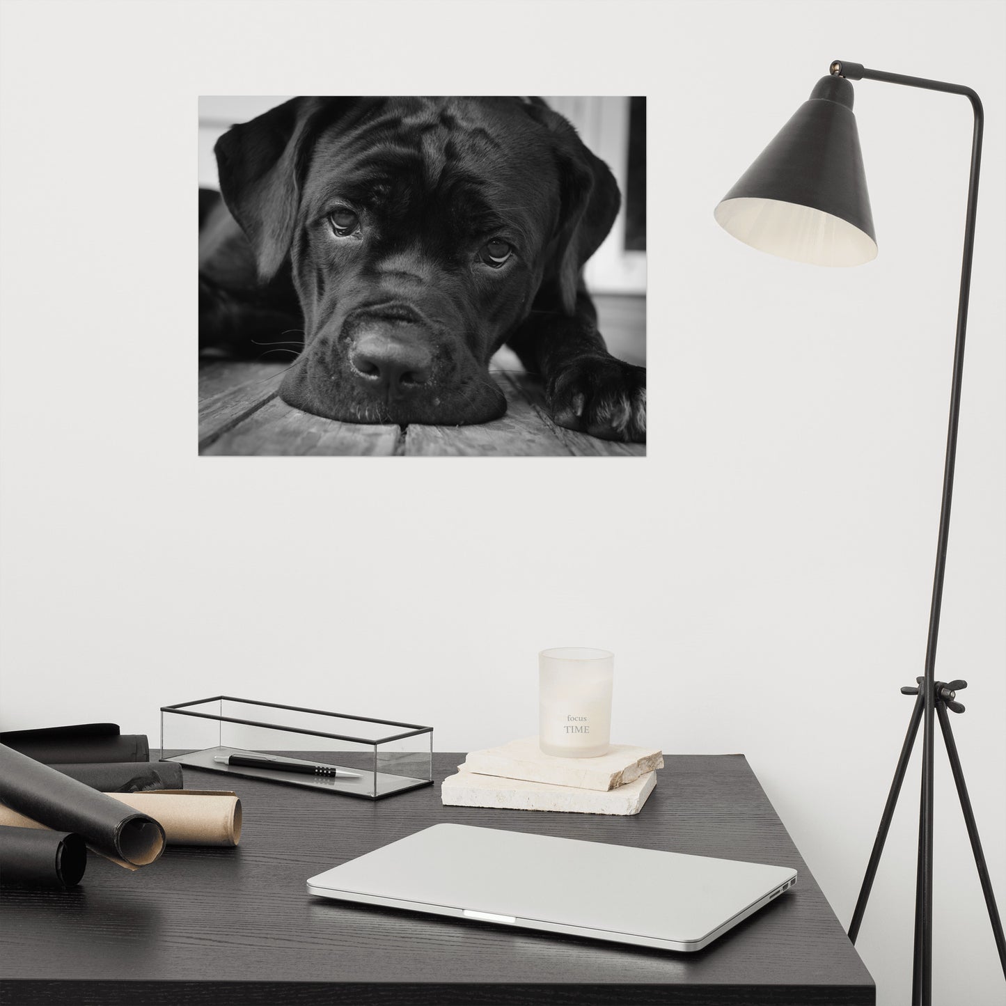 Cane Corso on Porch Animal / Dog Black & White Loose Wall Art Print