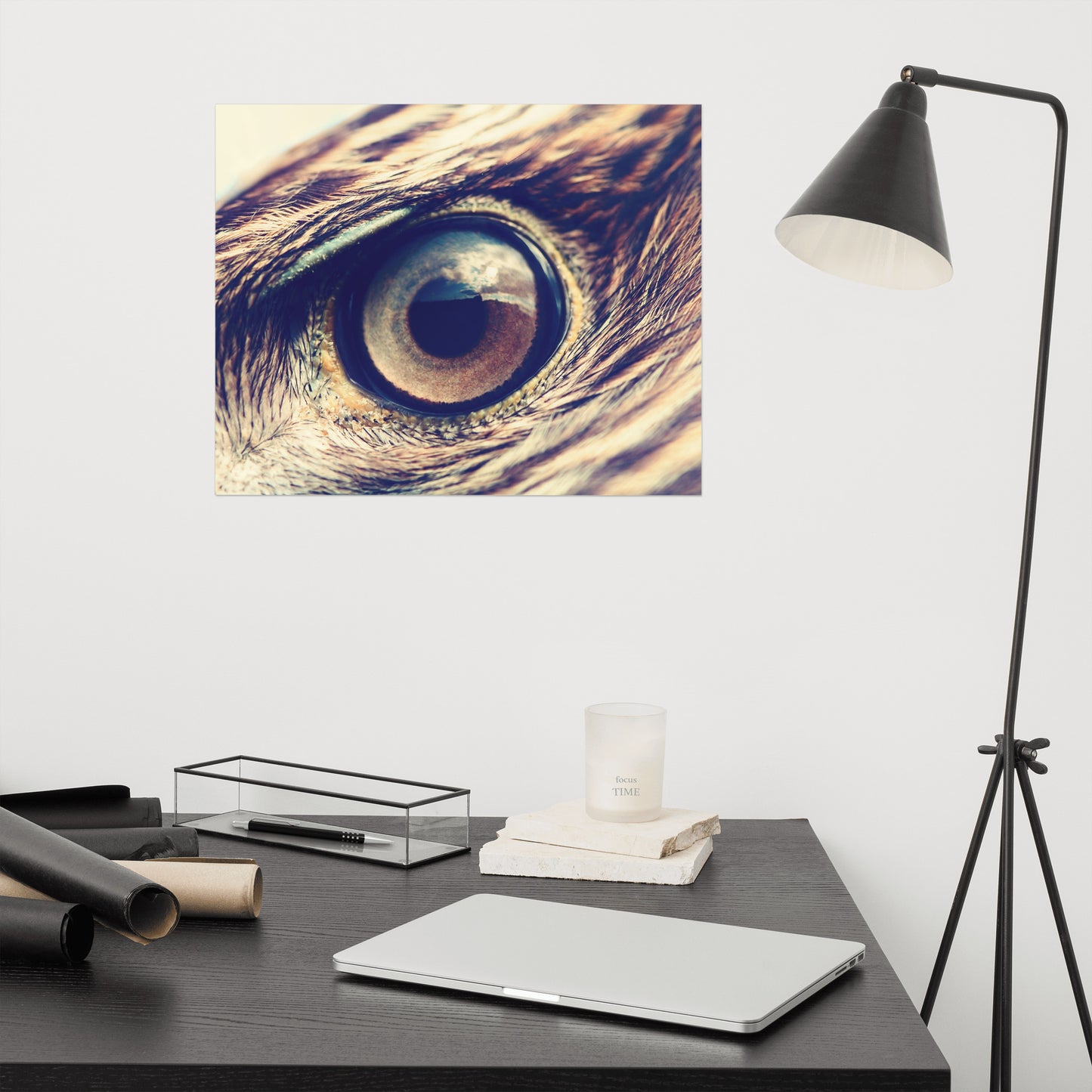 Close-up Eagle Eye Color Tone Rustic Bird / Animal / Wildlife Photo Loose Wall Art Print