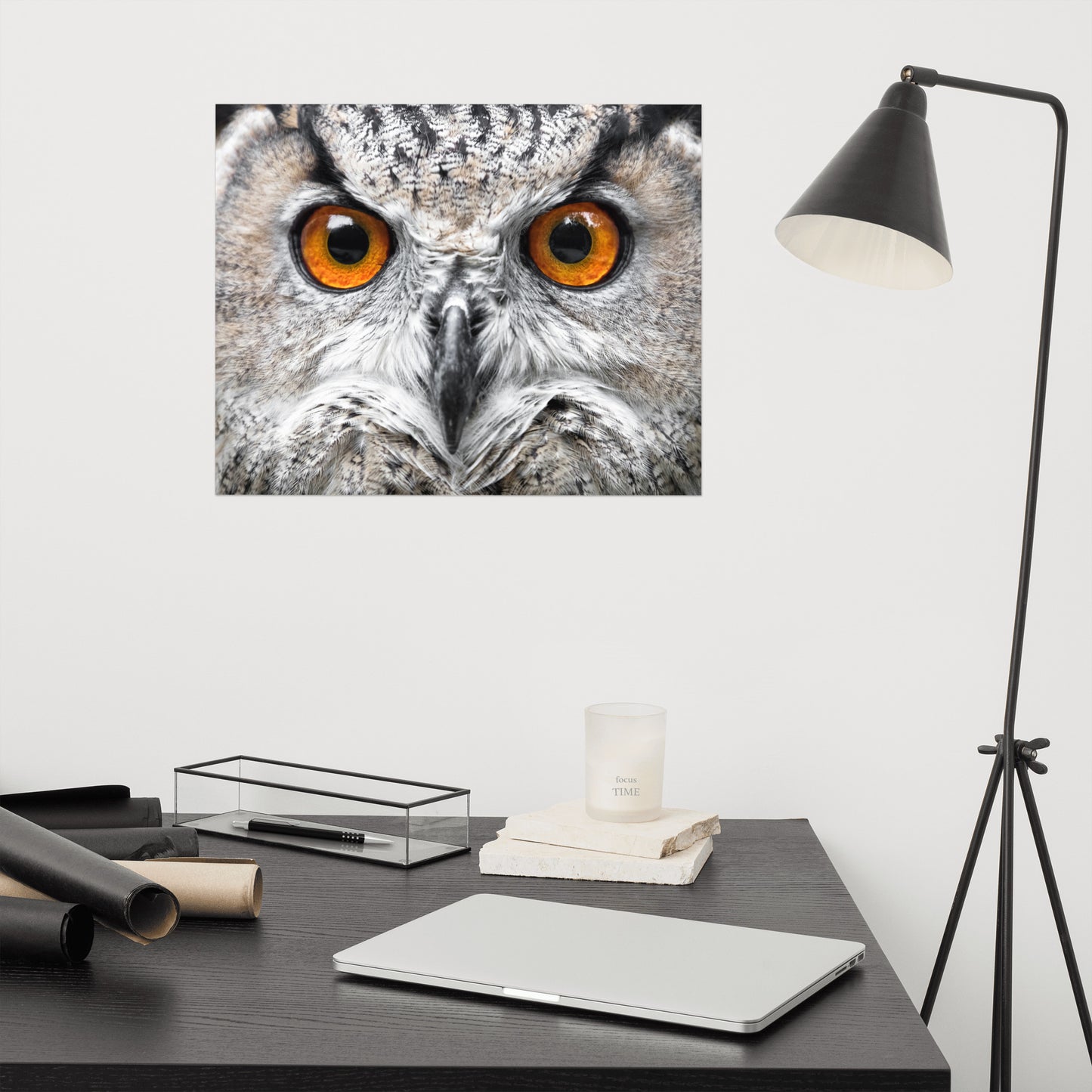 Close-up Yellow Owl Eyes Rustic Bird / Animal / Wildlife Photo Loose Wall Art Print