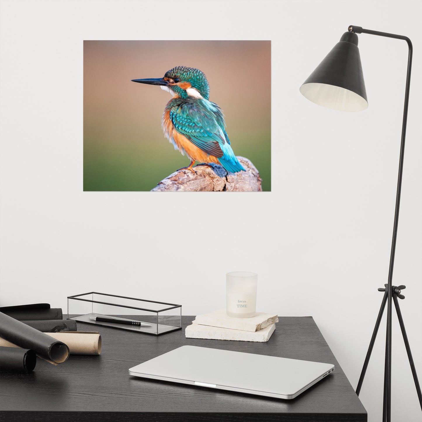 Common Kingfisher Bird on Perch Loose Wall Art Print
