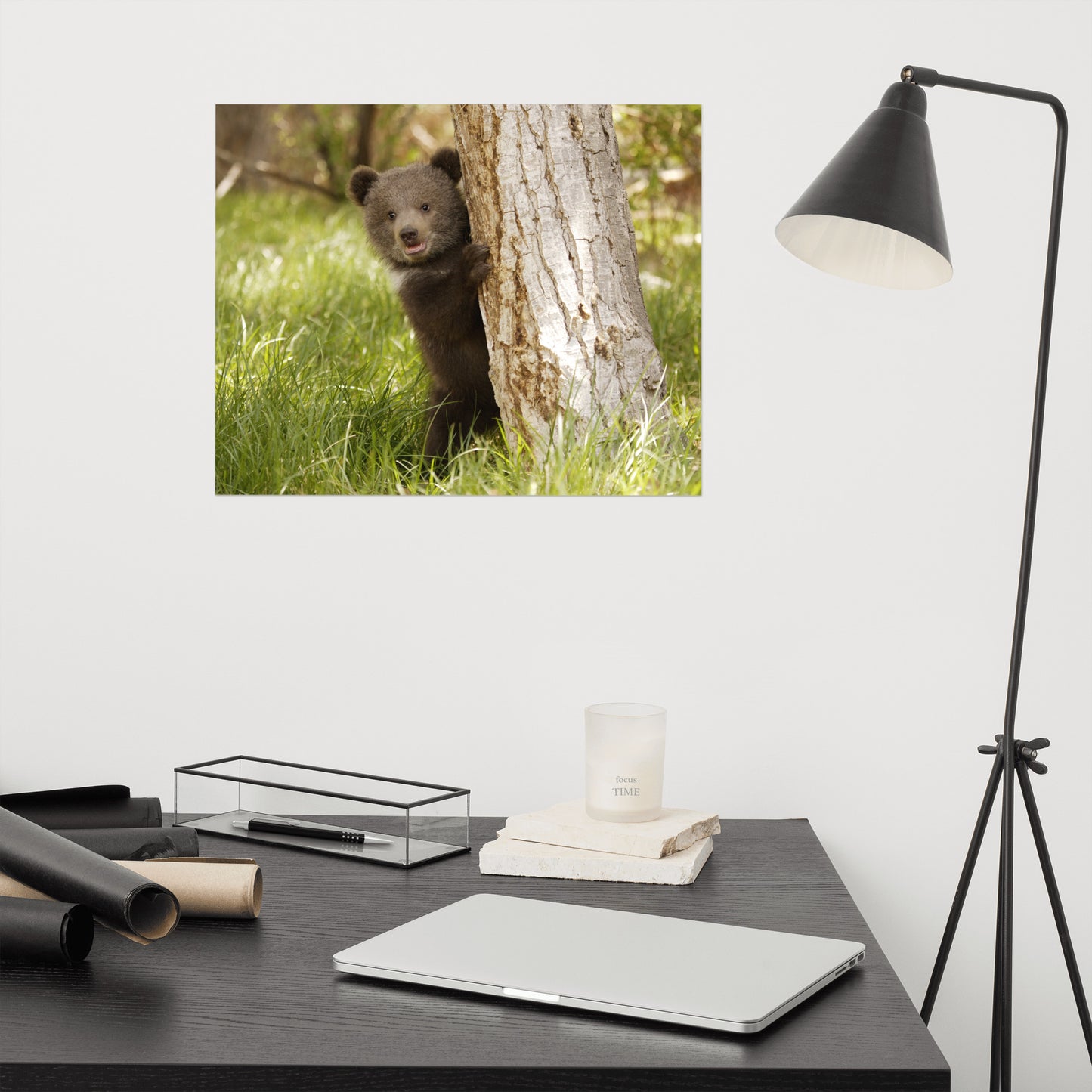 Cute Baby Grizzly Bear Cub Behind Tree In Meadow Rustic Animal / Wildlife Photo Loose Wall Art Print