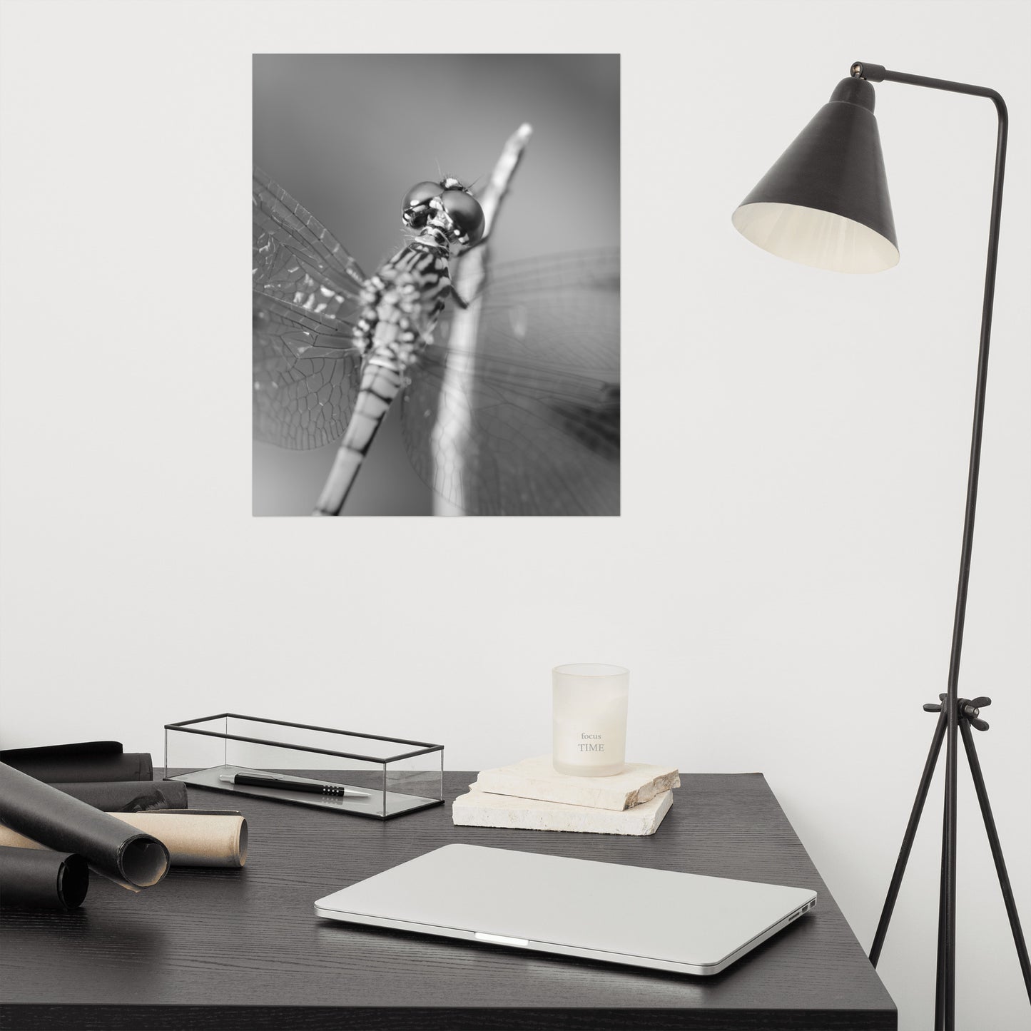Dragonfly at Bombay Hook Black and White Rustic Wildlife Photograph Loose Wall Art Print