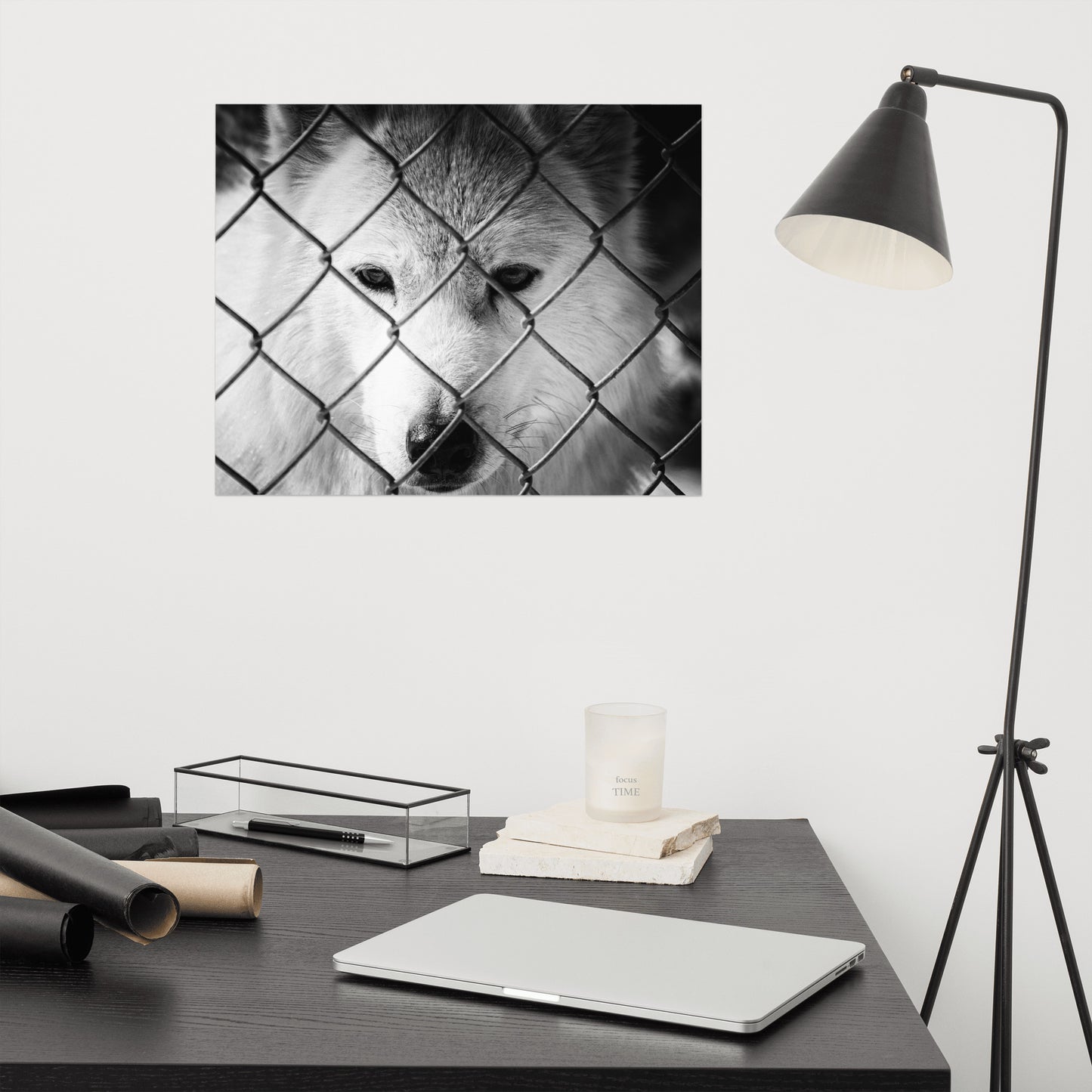Dreams of Freedom Rustic Animal / Wildlife Photograph Loose Wall Art Print
