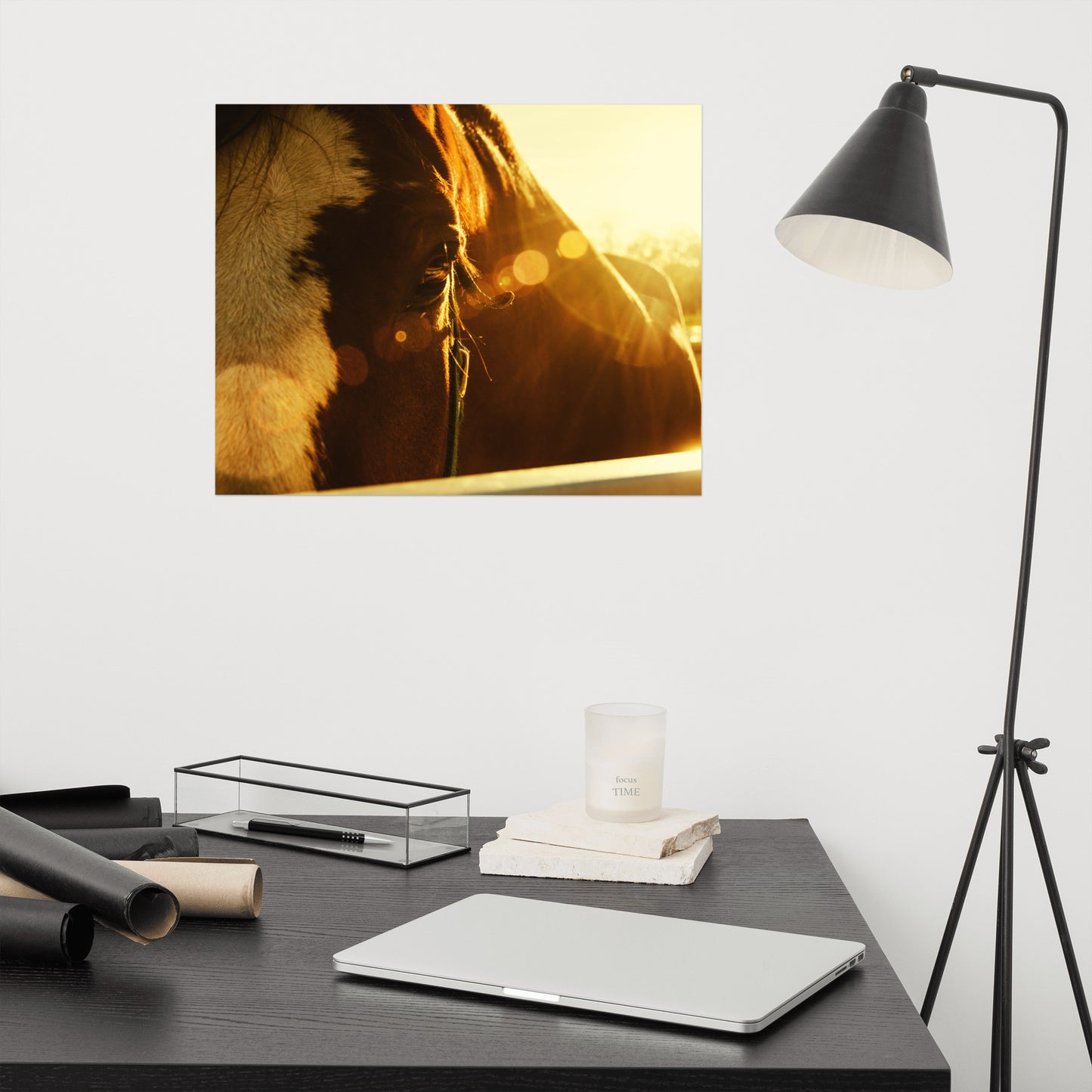 Evening Flare Rustic Farmhouse Style Horse Photograph Loose Wall Art Print