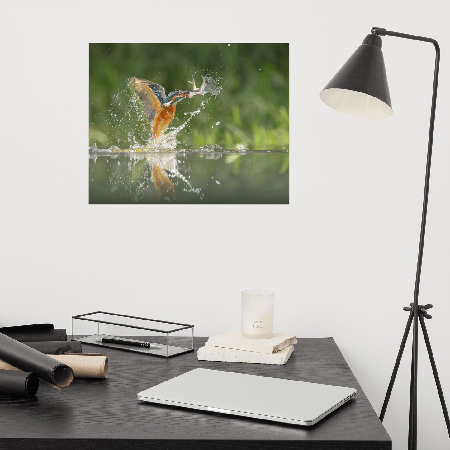 Flying Turquoise Blue and Orange Common Kingfisher Bird With Fish Loose Wall Art Print