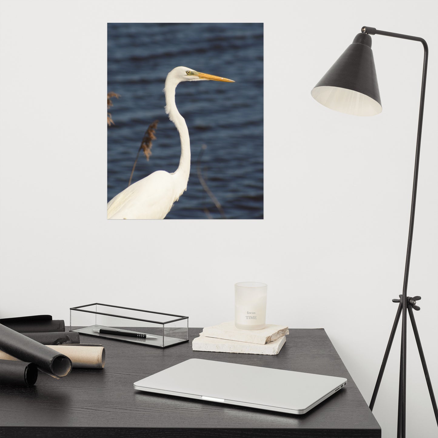 Great White Egret Bird / Animal / Wildlife Photograph Loose Wall Art Print