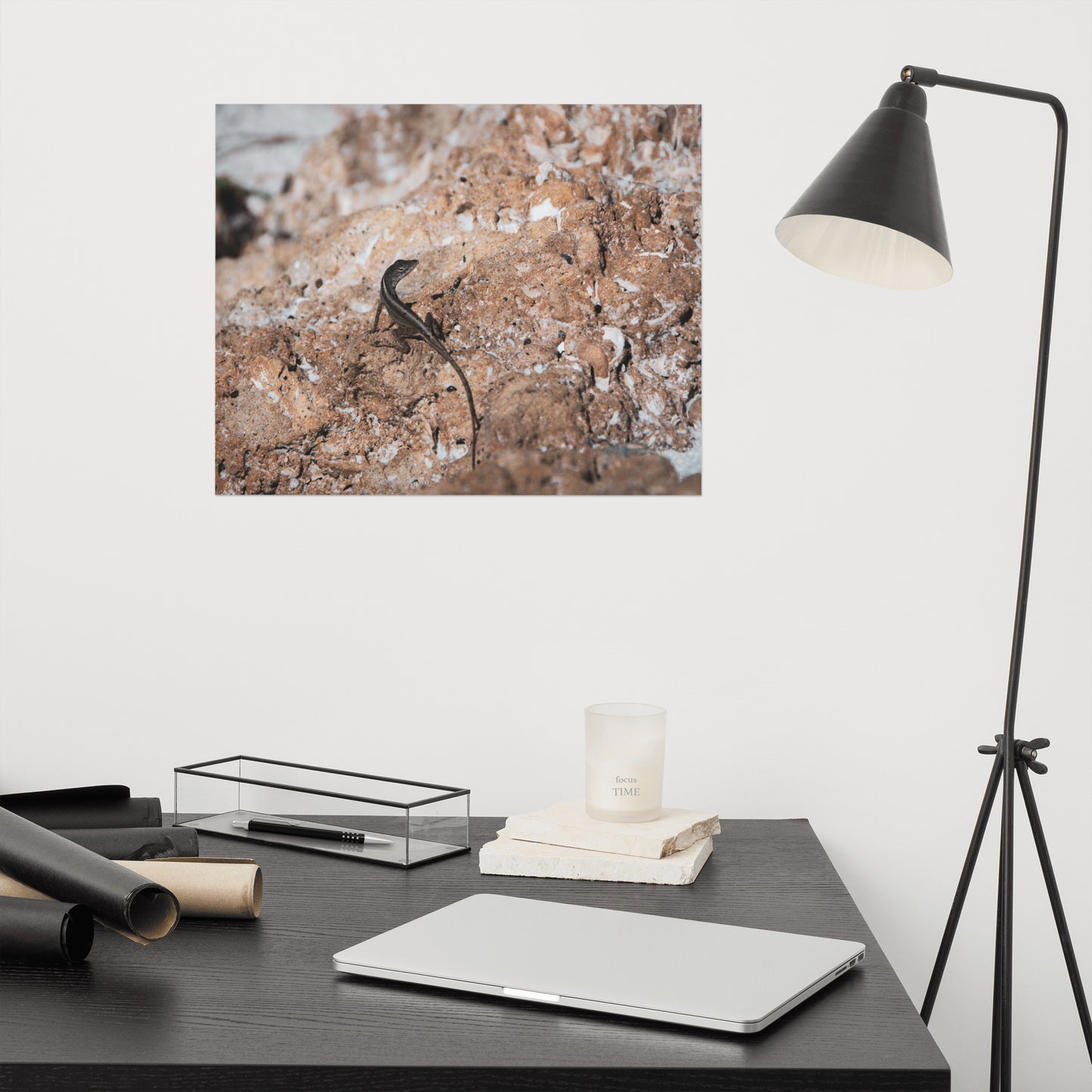 Lizard Rock Rustic Coastal Animal Wildlife Photograph Loose Wall Art Print