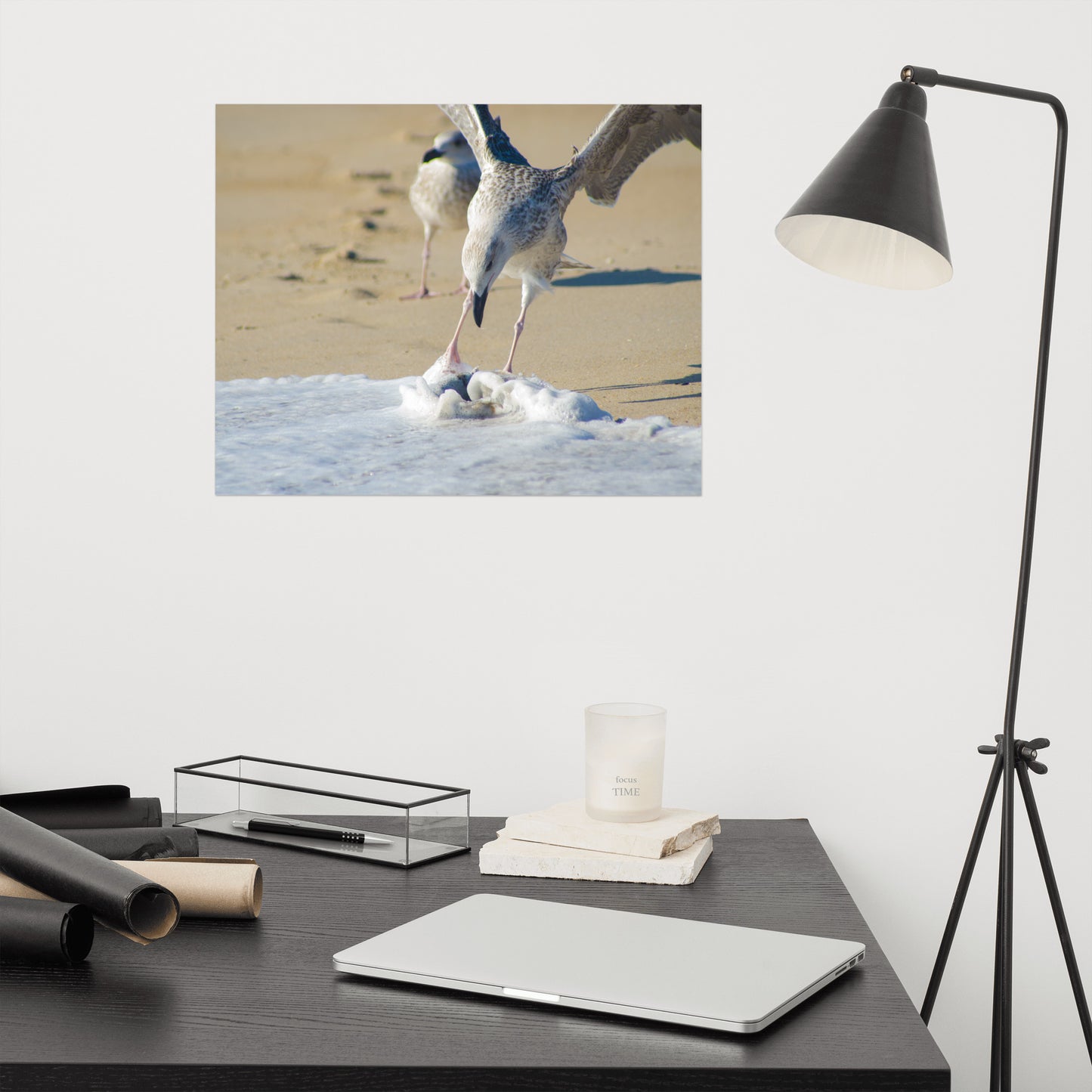Oh That's Cold Coastal Bird Wildlife Photograph Loose Wall Art Print