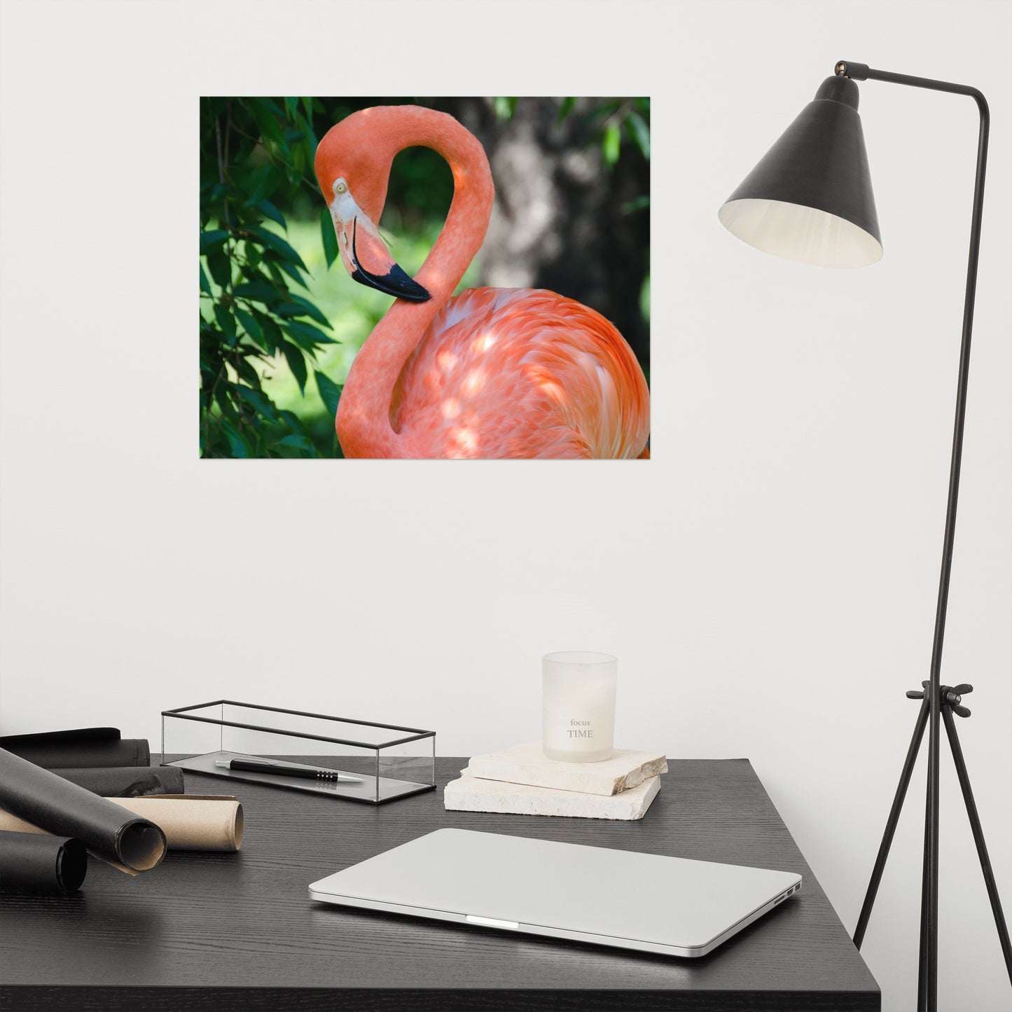 Pinky the Flamingo Coastal Bird Wildlife Photograph Loose Wall Art Print