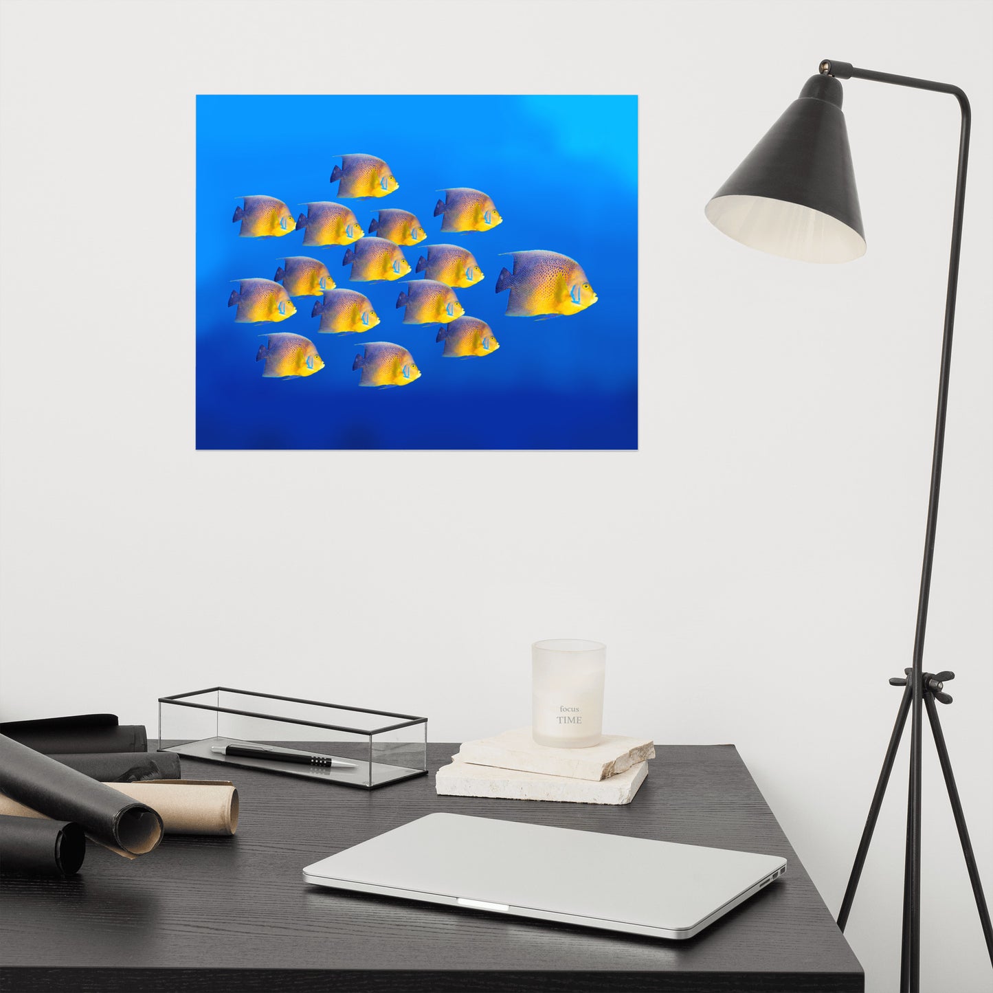 School of Tropical Coral Fish Angelfish Isolated In Blue Ocean Water Animal Wildlife Photograph Loose Wall Art Print