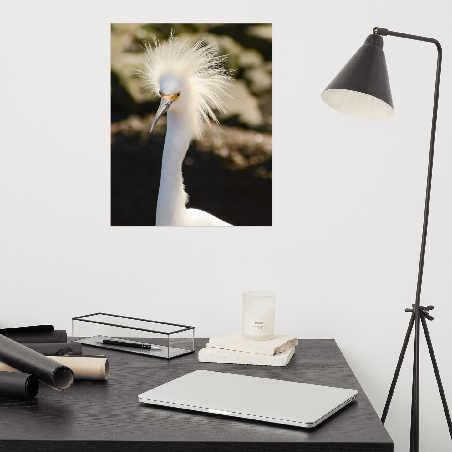 Snowy Egret - Coastal Bird Wildlife Photograph Loose Wall Art Print