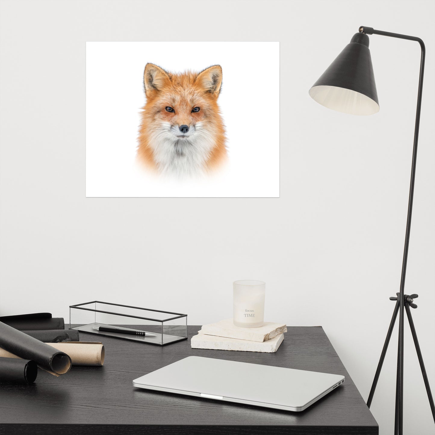 Young Red Fox Face on White Minimal Animal Wildlife Nature Photograph Loose Wall Art Print