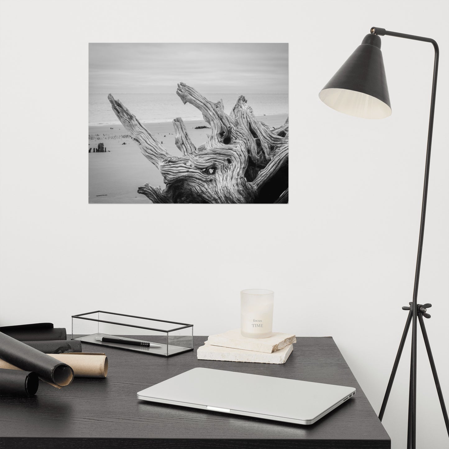 Driftwood on Boneyard Beach Florida 4 Black and White Coastal Nature Photo Loose Wall Art Print