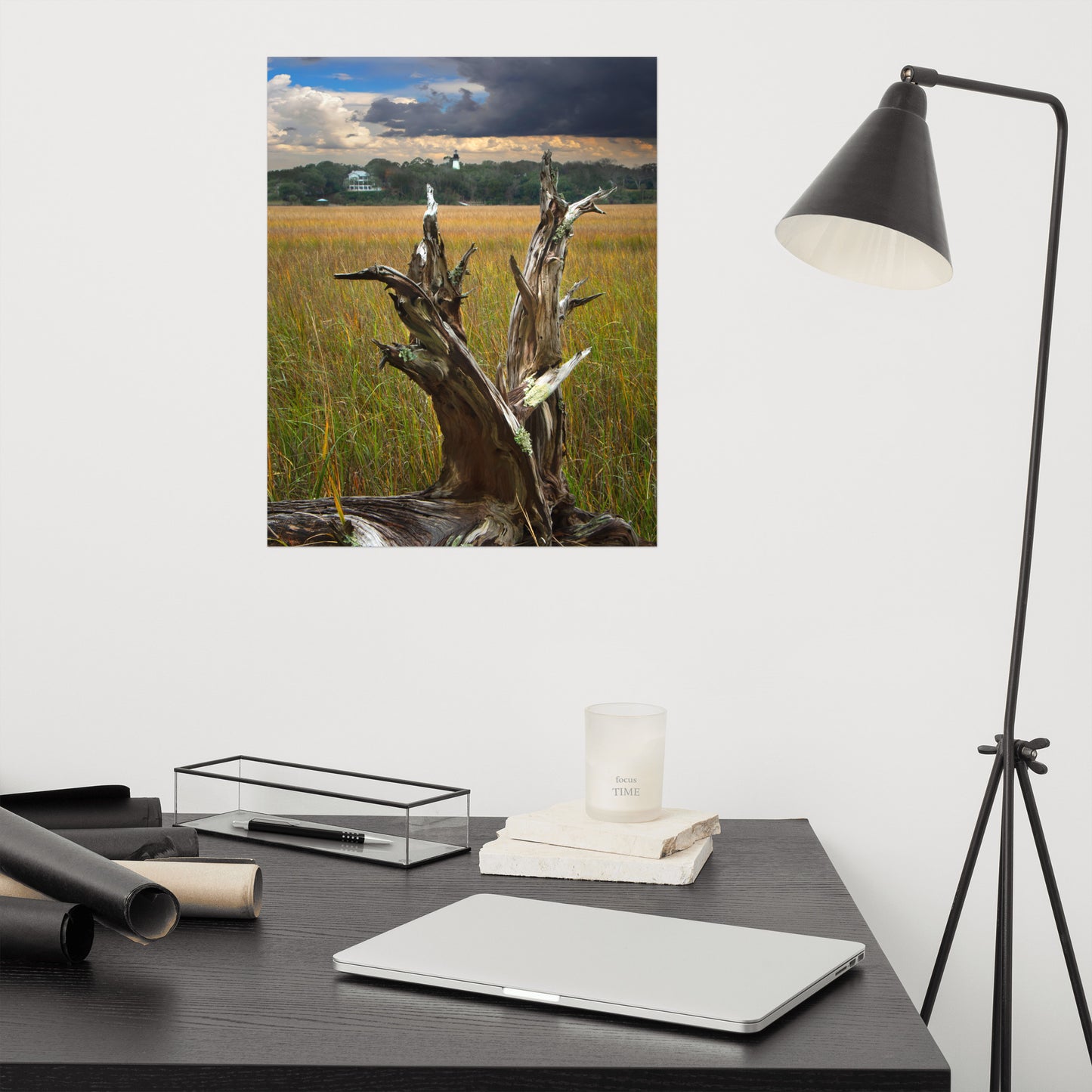 Dead Tree and Amelia Lighthouse Coastal Landscape Photo - Loose Wall Art Prints
