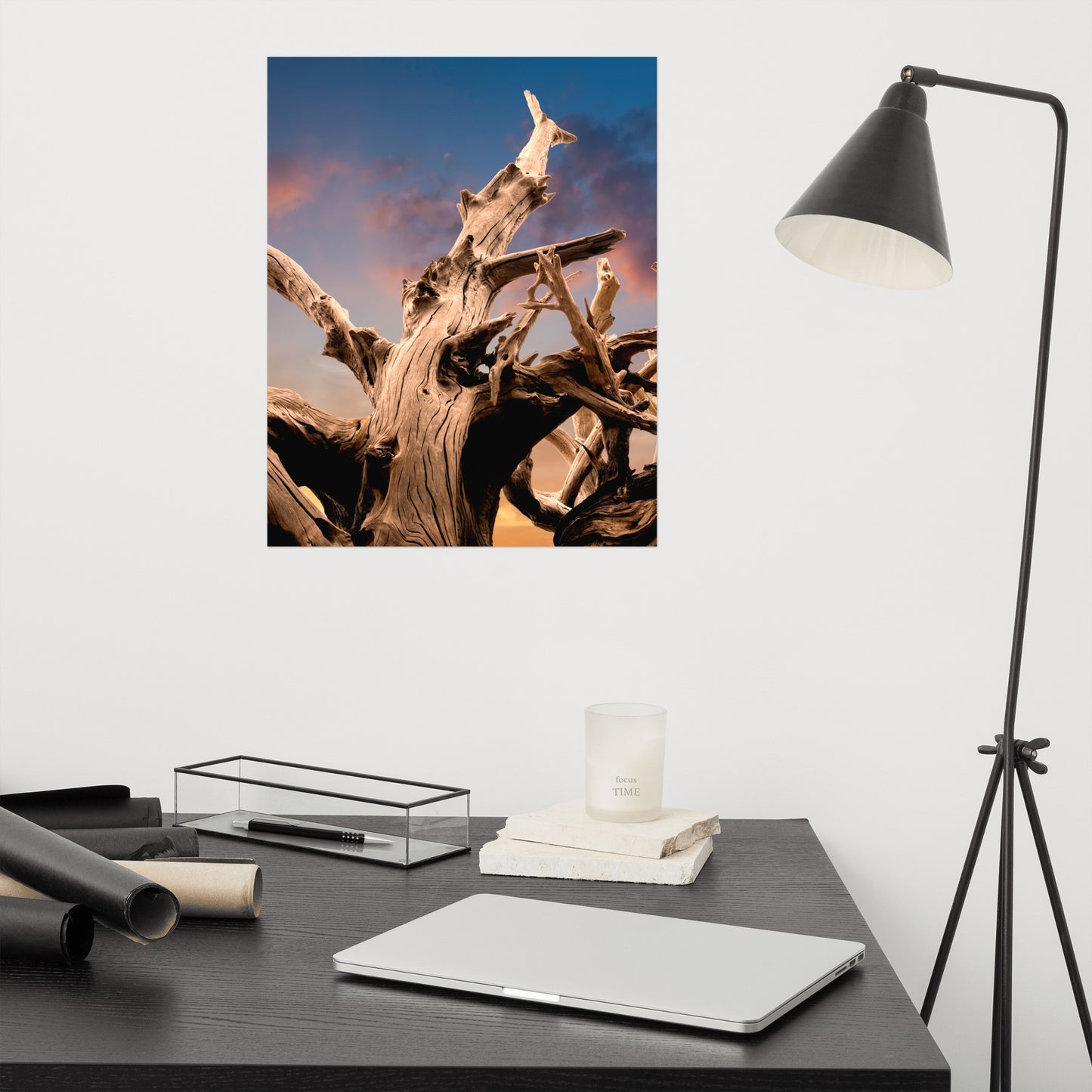 Wilted Cypress Tree and Sunrise Rustic Farmhouse Style Nature Photo Loose Wall Art Prints