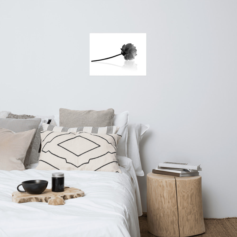 Resting Lotus Flower Black & White Floral Nature Photo Loose Flower Wall Art Print