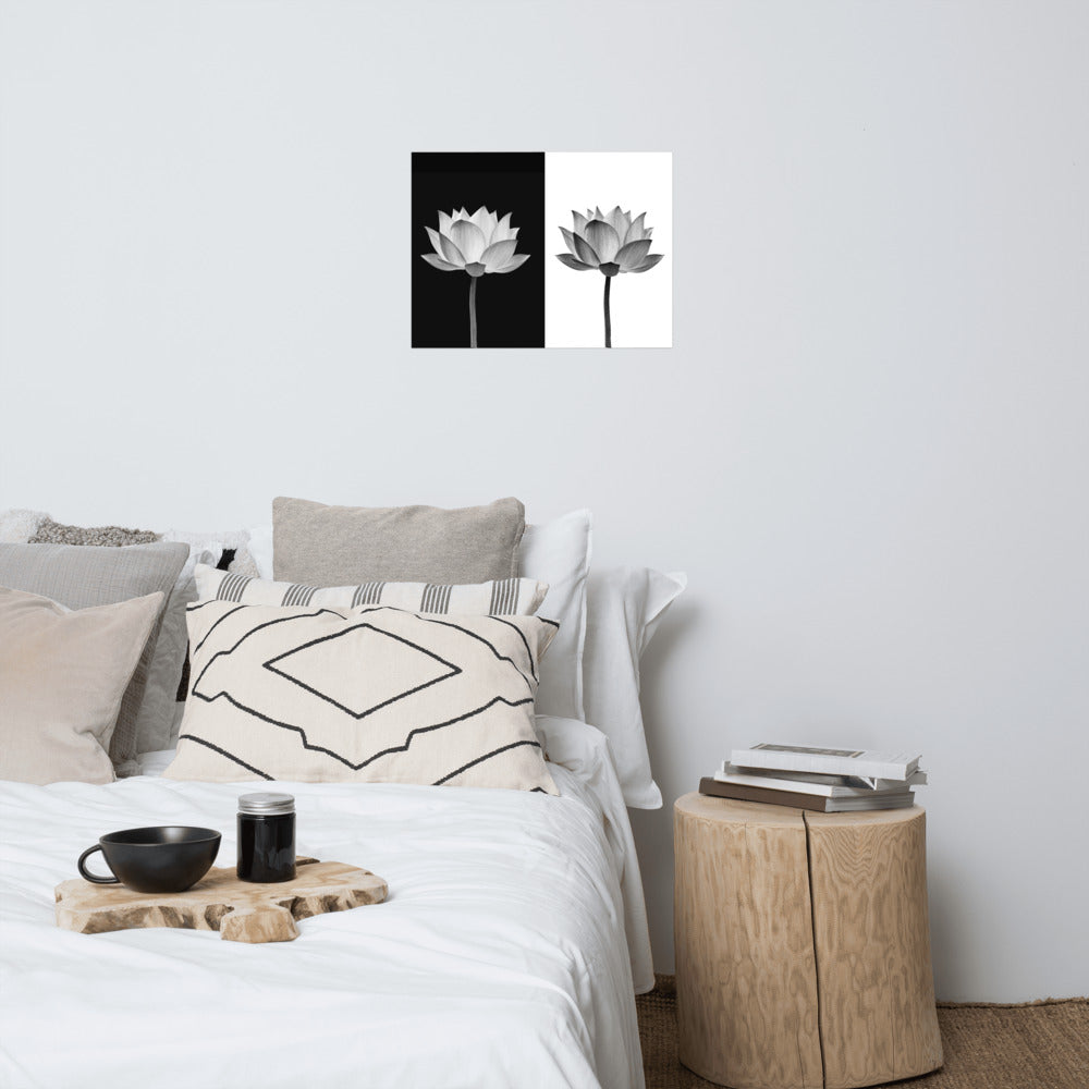 Lotus Flower on Black and White Background Floral Nature Photo Loose Flower Wall Art Print