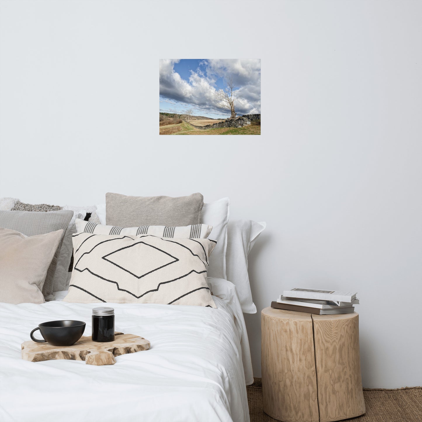 Dead Tree and Stone Wall Rustic Farmhouse Style Landscape Photo Loose Wall Art Prints