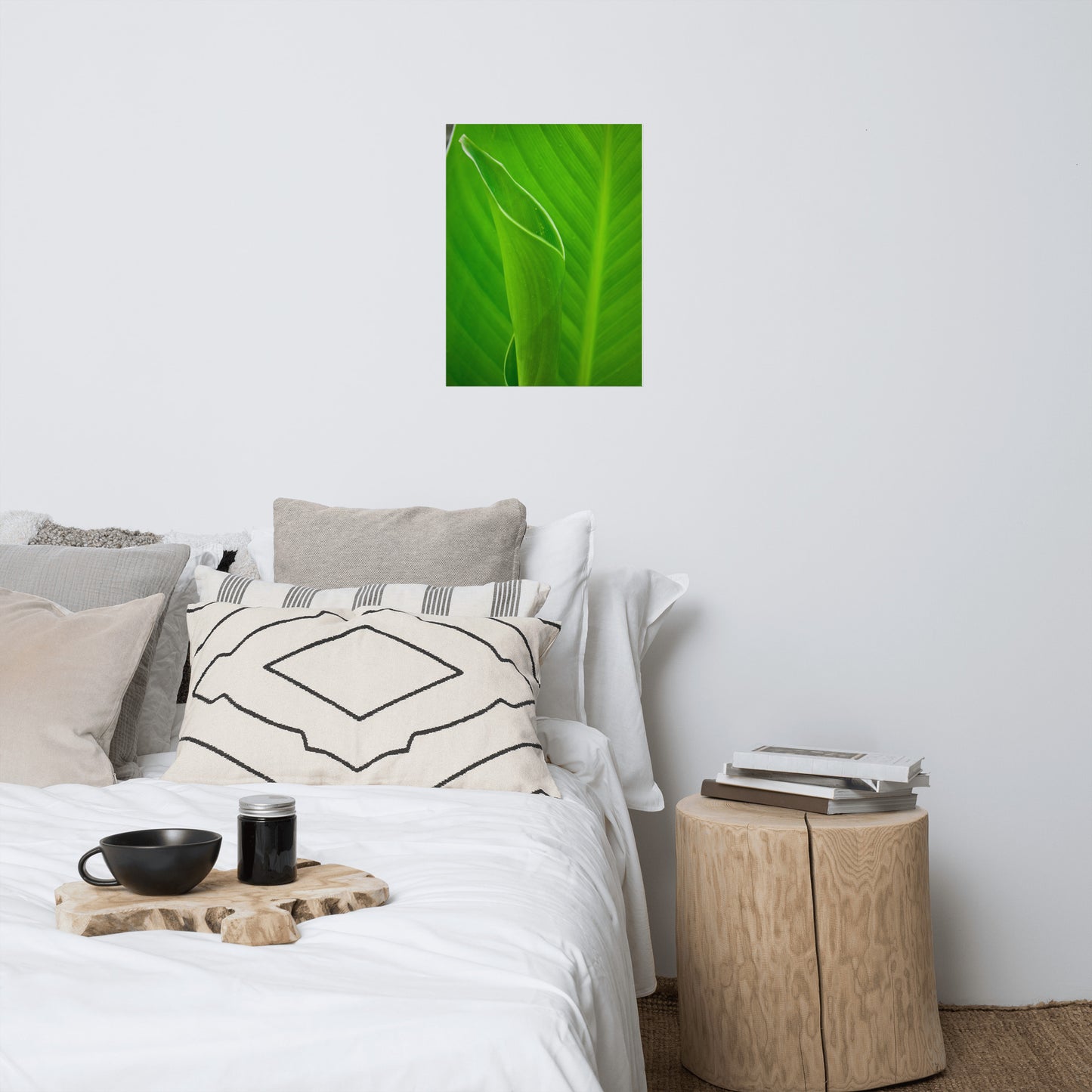 Leaves of Canna Lily Modern Farmhouse Style Botanical Nature Photo Loose Unframed Wall Art Prints