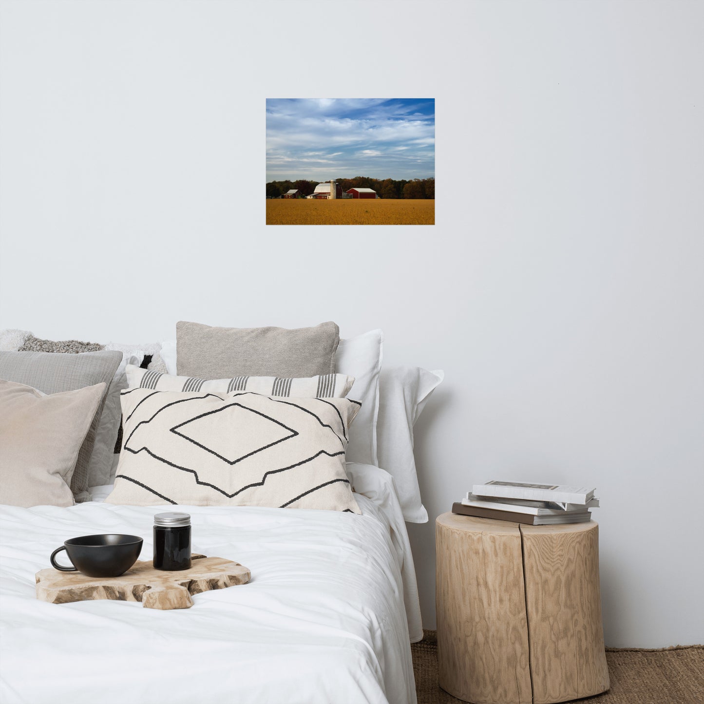 Red Barn in Golden Field Traditional Color Rustic Farmhouse Style Landscape Photo Loose Wall Art Prints