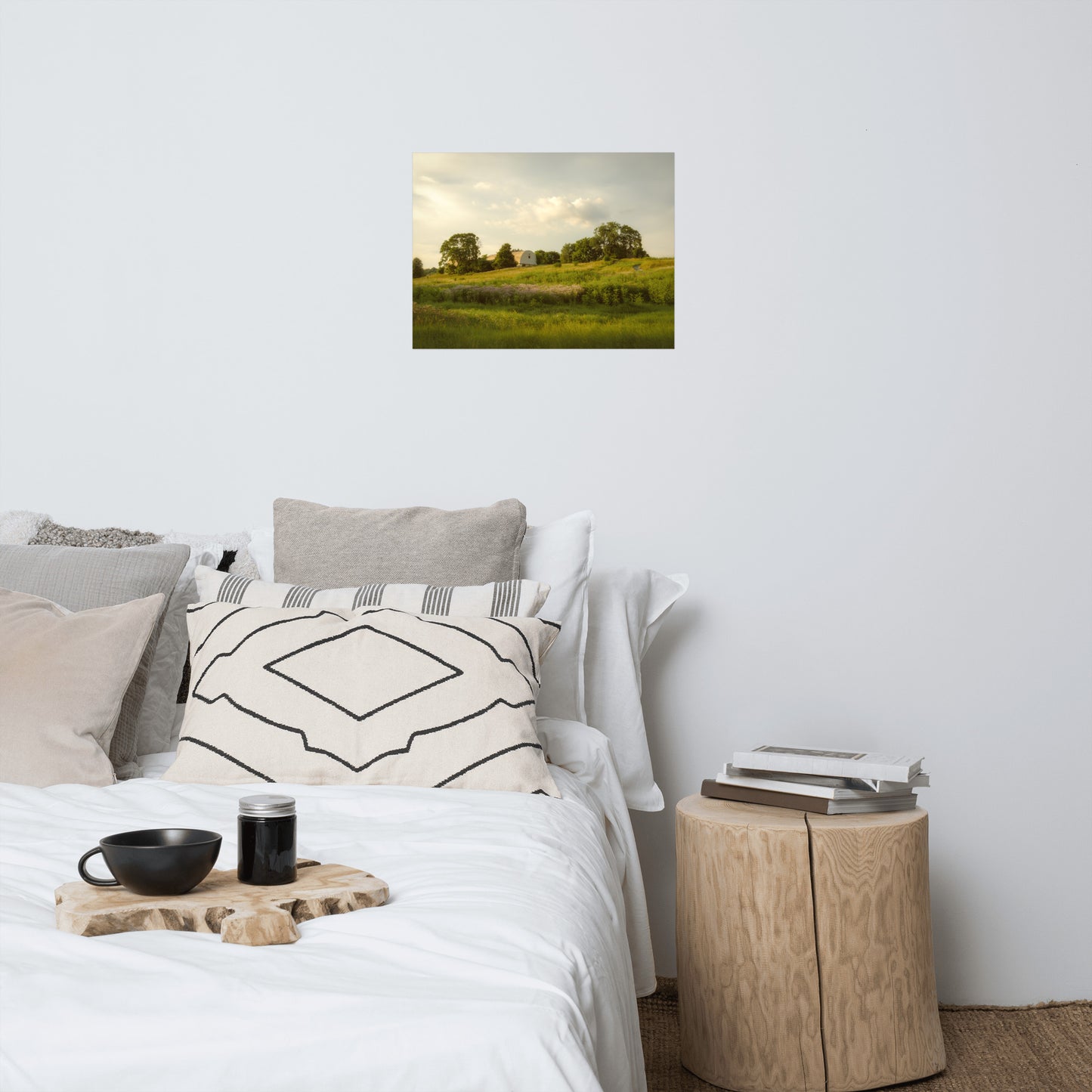 Remnant of Better Days Rustic Farmhouse Style Landscape Photo Loose Wall Art Prints