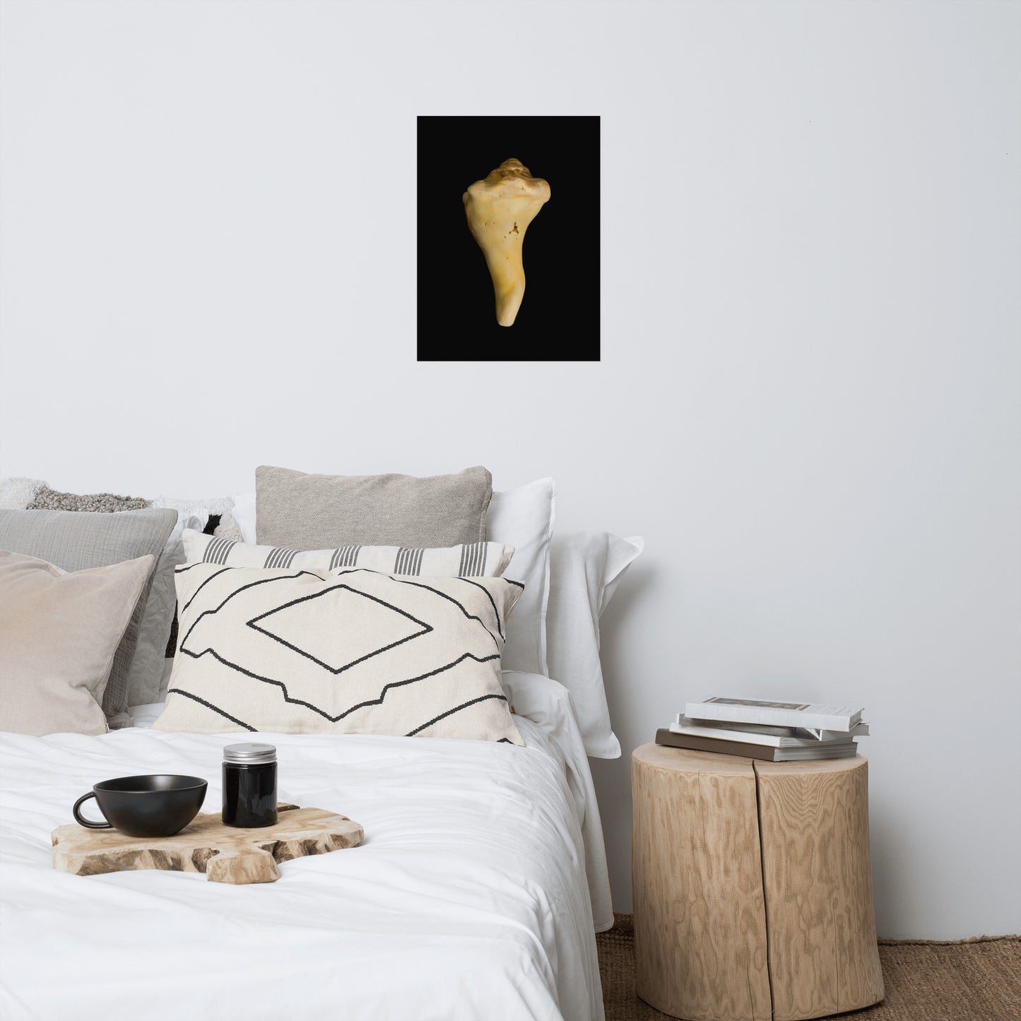 States of Erosion Image 8 Whelk Shell Coastal Nature Photo Loose Unframed Wall Art Prints