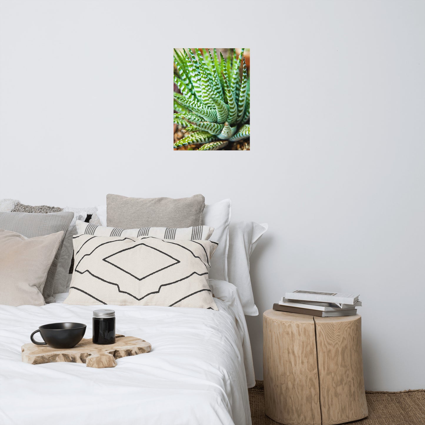 Succulent 2 Minimalist Rustic Farmhouse Style Botanical Nature Photo Loose Unframed Wall Art Prints
