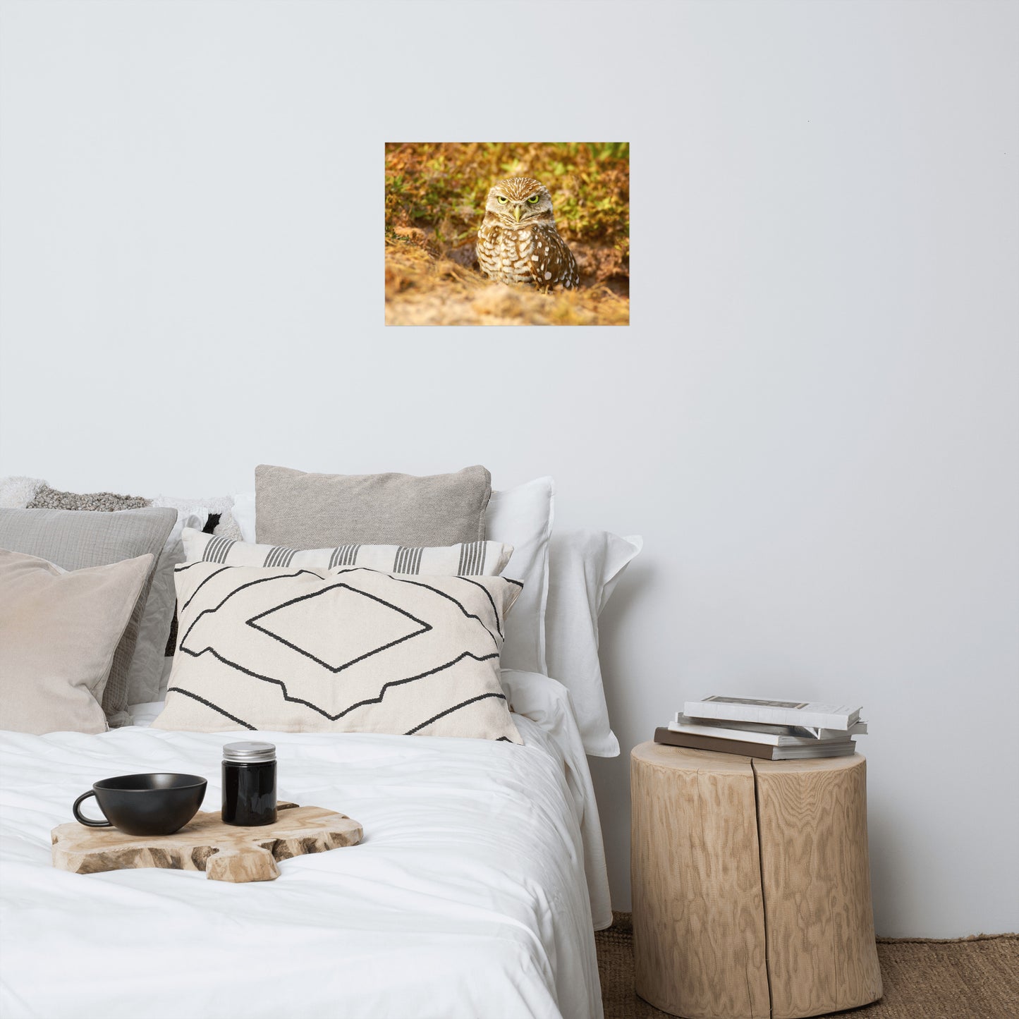 Burrowing Owl in Golden Light Rustic Bird / Animal / Wildlife Photograph Art Print