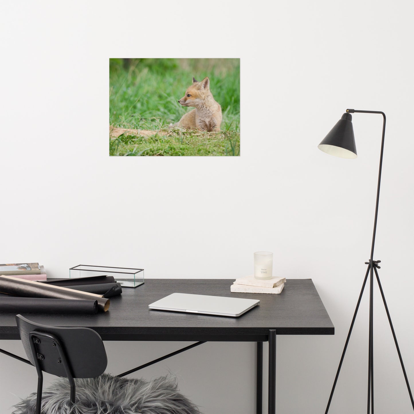 Fox Wall Hanging: Red Fox Pups - Chillin Animal / Wildlife / Nature Photograph Loose / Unframed / Frameless / Frameable Wall Art Print - Artwork