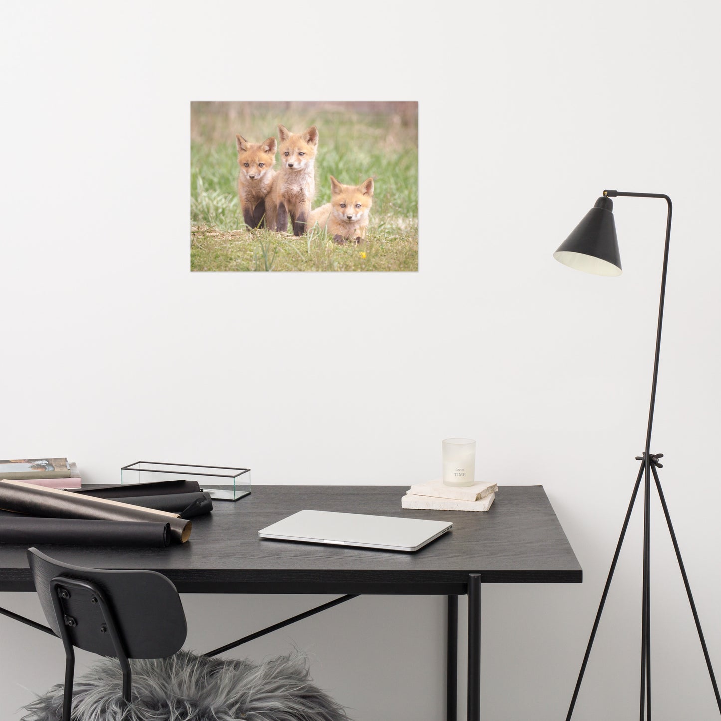 Baby Red Foxes Siblings Loose Wall Art Print