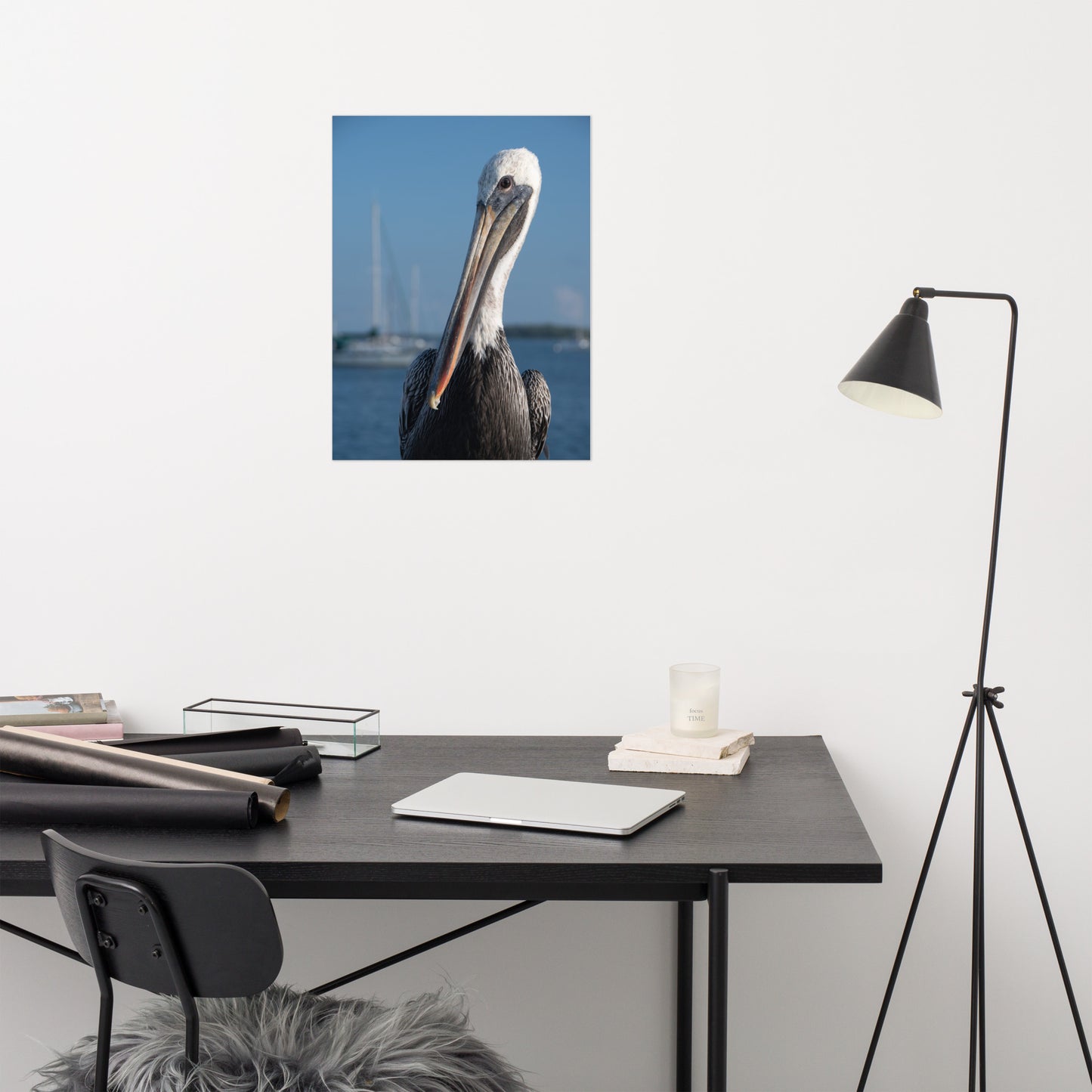 Bob The Pelican 3 Color Loose Wall Art Print