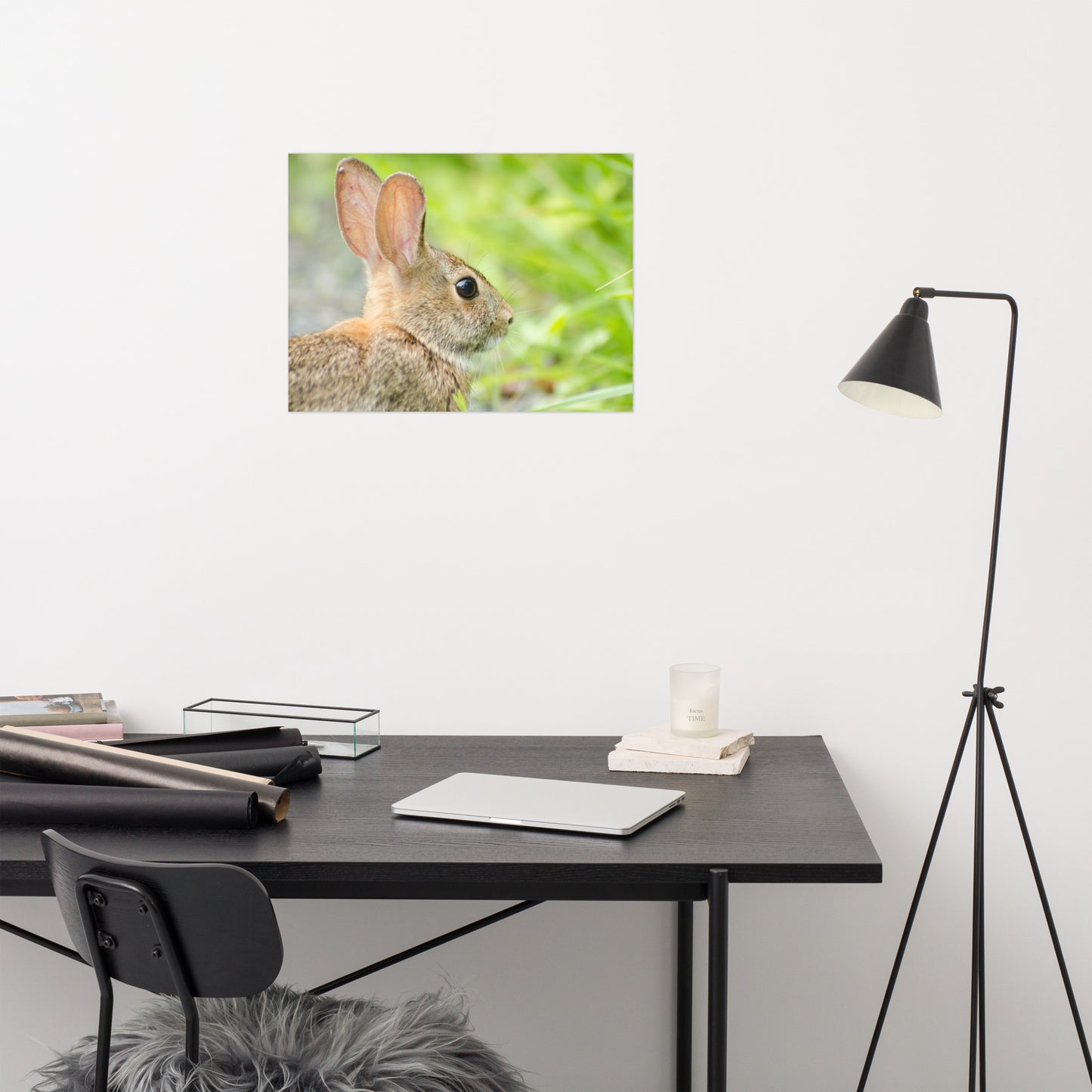 Bunny at Bombay Hook Animal / Wildlife Photograph Loose Wall Art Print