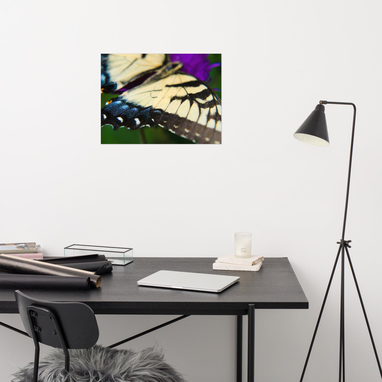Butterfly Wings Animal / Wildlife Photograph Loose Wall Art Print