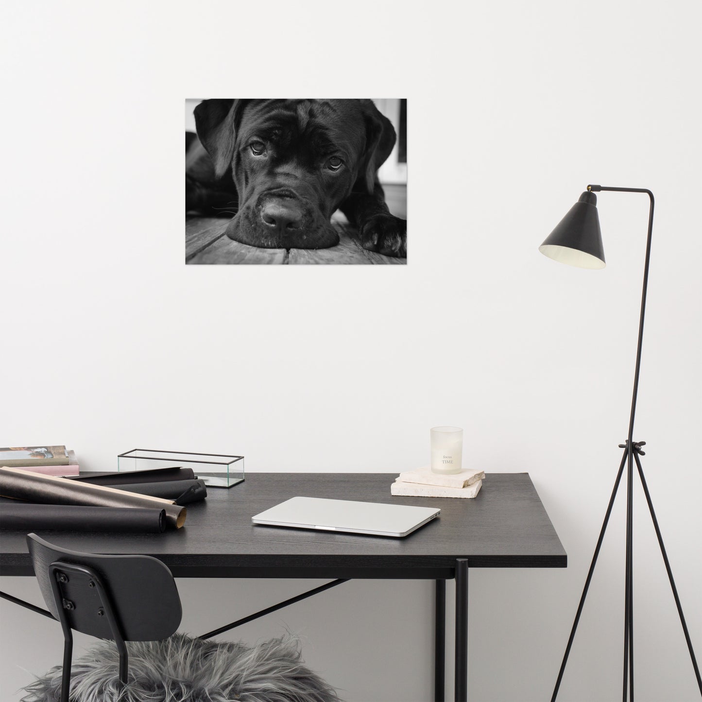 Cane Corso on Porch Animal / Dog Black & White Loose Wall Art Print
