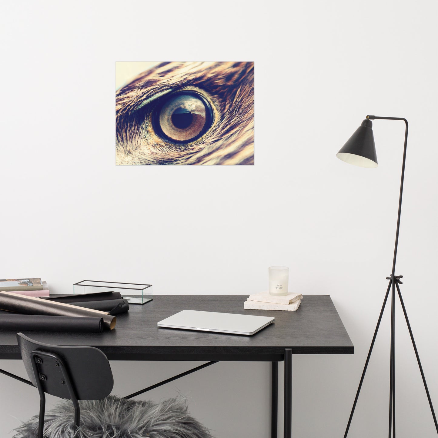 Close-up Eagle Eye Color Tone Rustic Bird / Animal / Wildlife Photo Loose Wall Art Print
