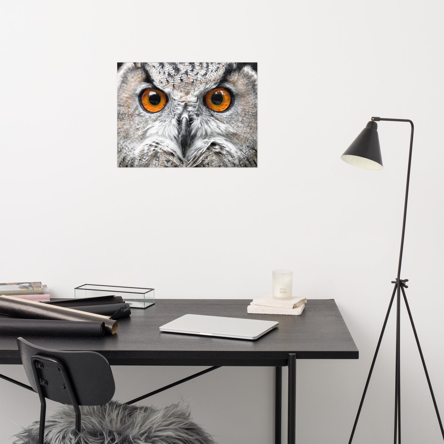 Close-up Yellow Owl Eyes Rustic Bird / Animal / Wildlife Photo Loose Wall Art Print