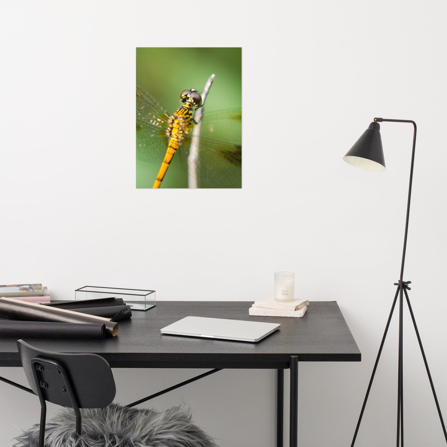Dragonfly at Bombay Hook Farmhouse Style Wildlife Photograph Loose Wall Art Print
