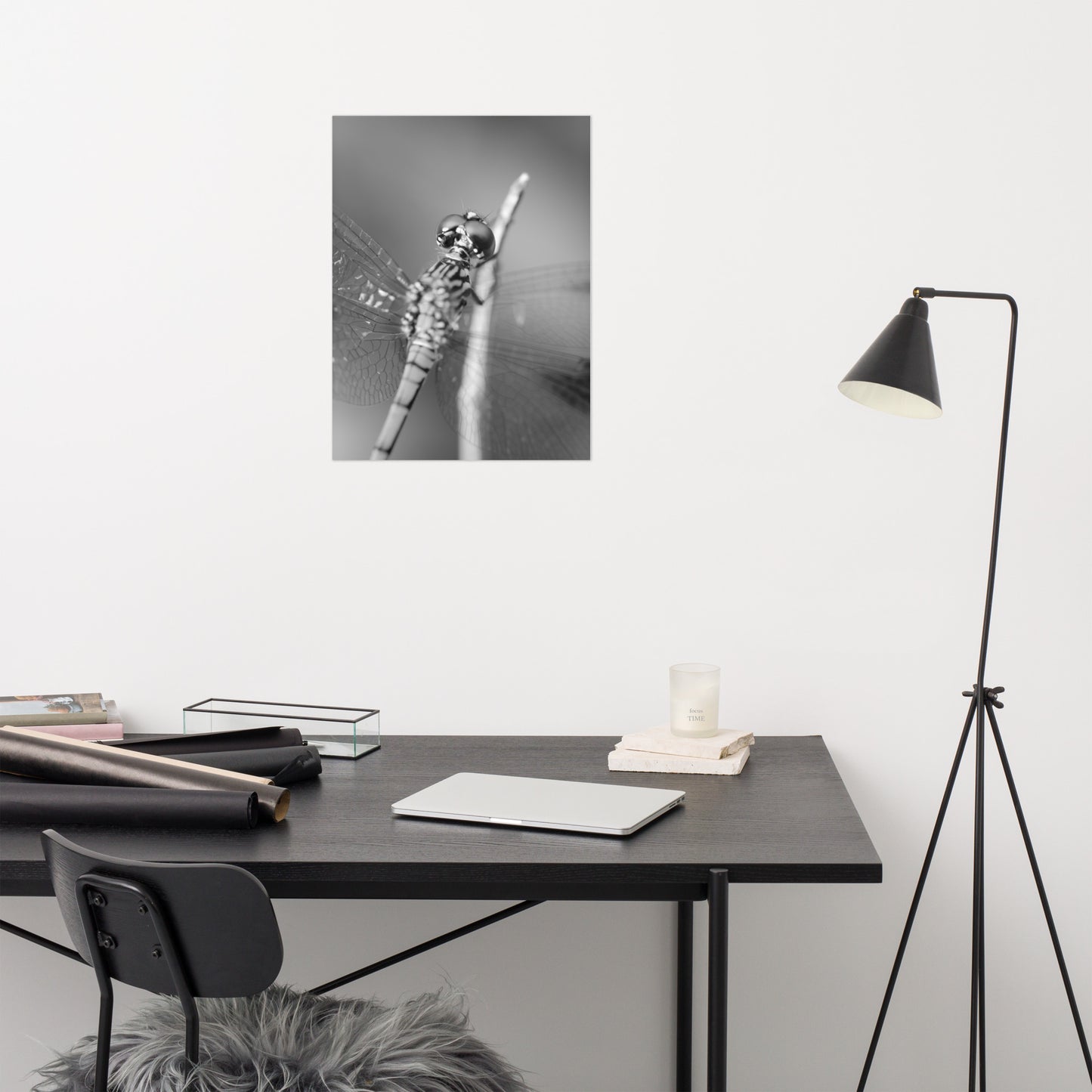 Dragonfly at Bombay Hook Black and White Rustic Wildlife Photograph Loose Wall Art Print
