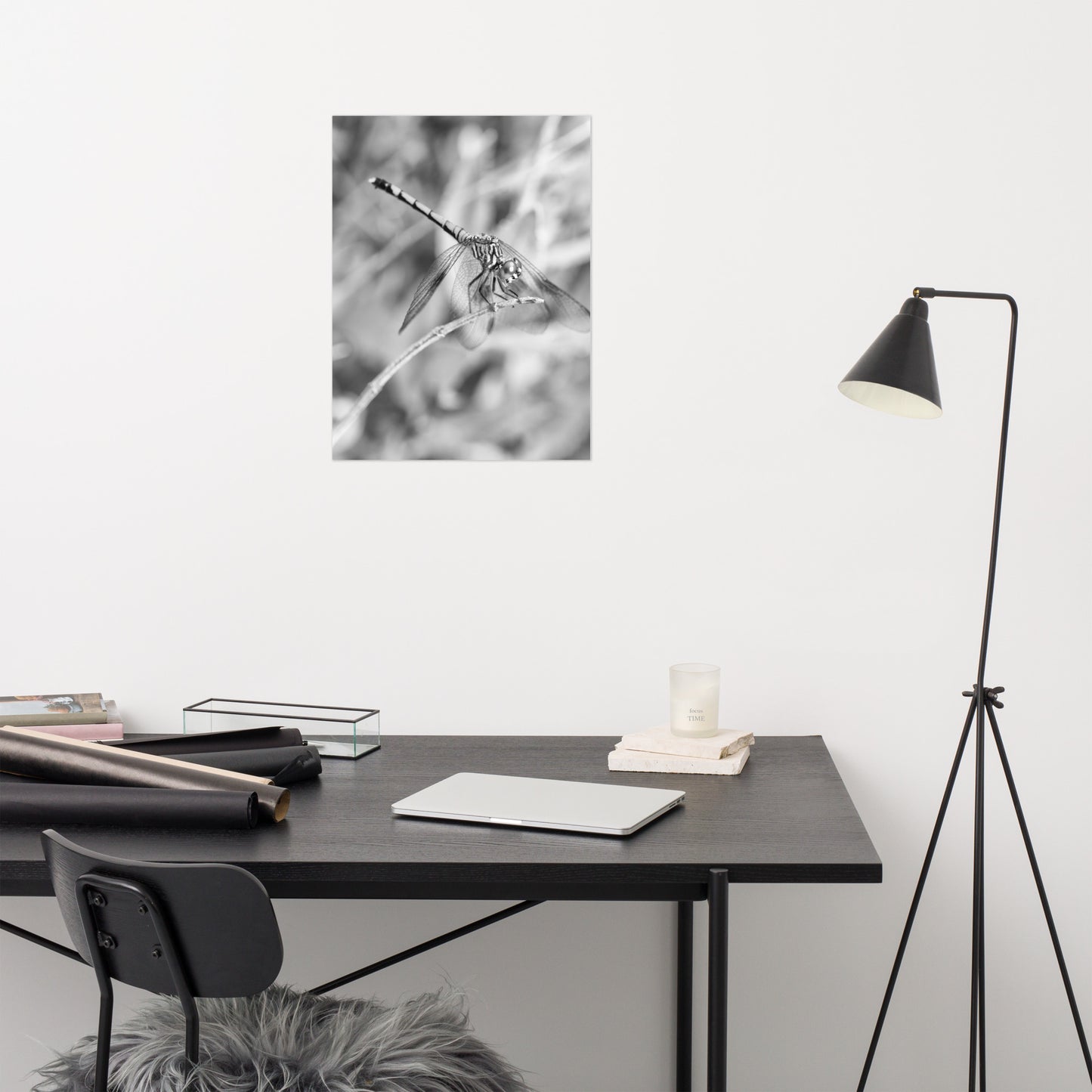 Dragonfly on Twig Black and White Rustic Wildlife Photograph Loose Wall Art Print