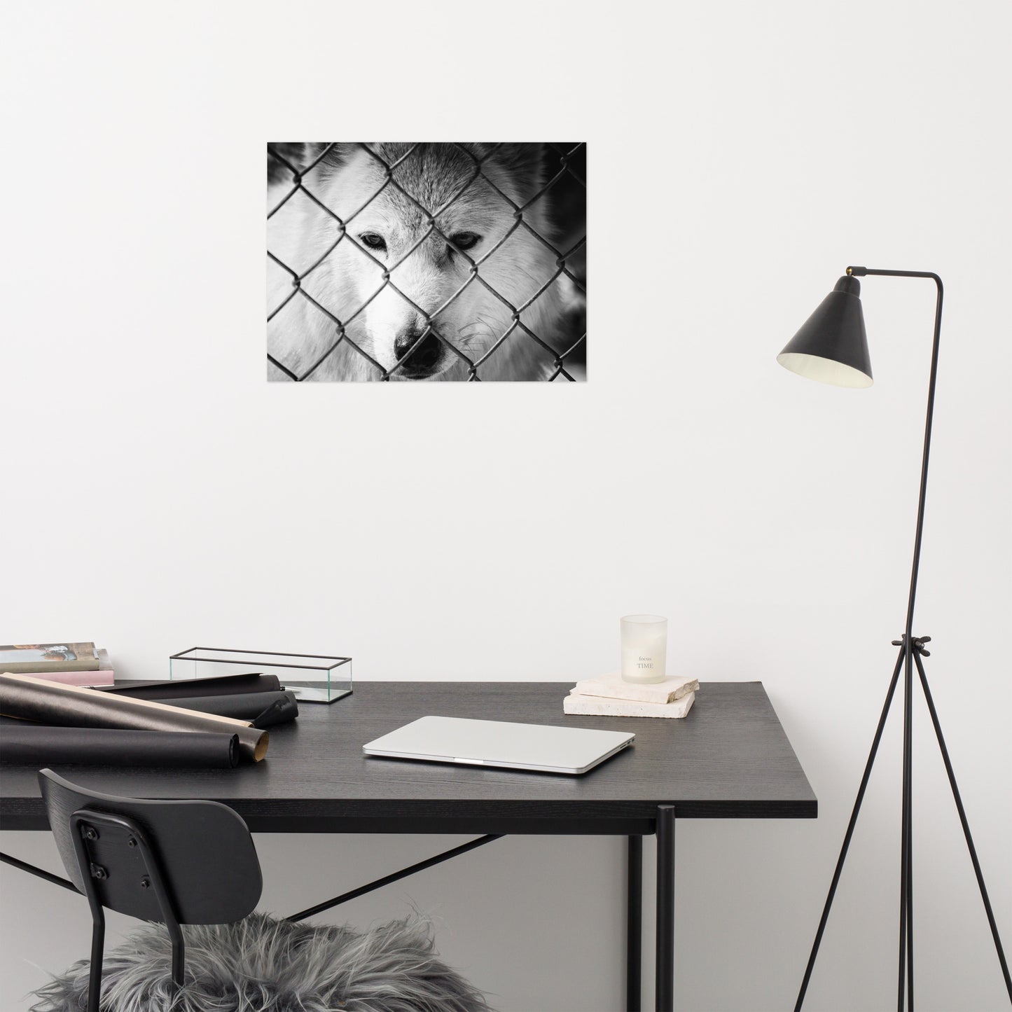 Dreams of Freedom Rustic Animal / Wildlife Photograph Loose Wall Art Print