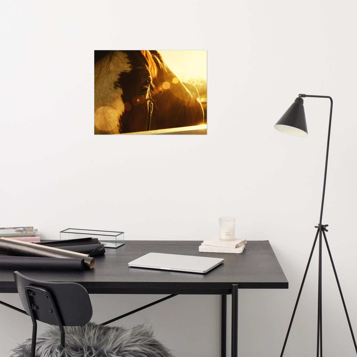 Evening Flare Rustic Farmhouse Style Horse Photograph Loose Wall Art Print