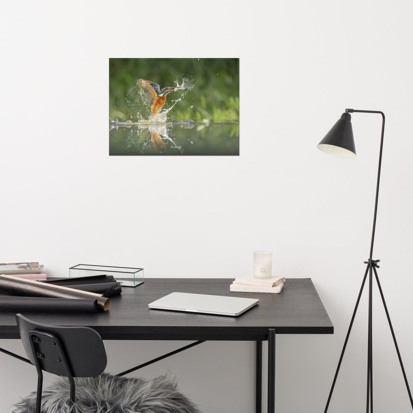 Flying Turquoise Blue and Orange Common Kingfisher Bird With Fish Loose Wall Art Print
